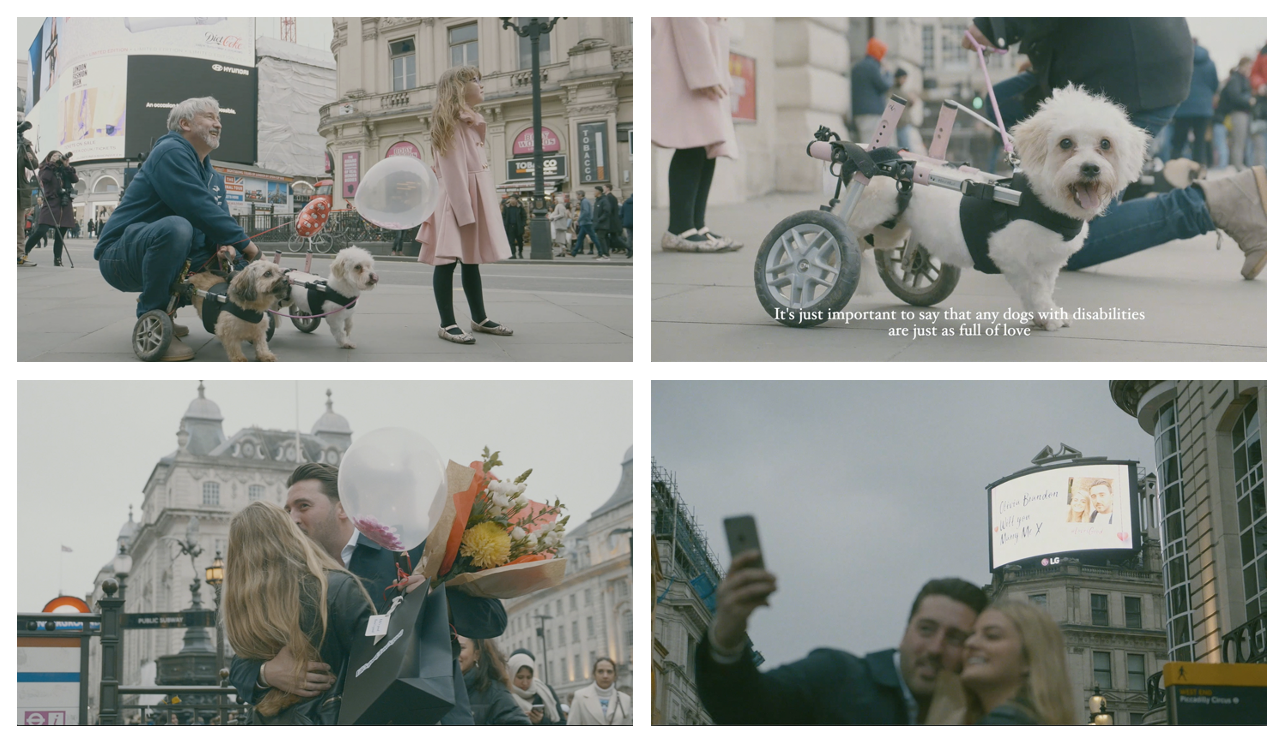  valentine’s day OOH + social media integrated campaign (  https://youtu.be/YmsXs9eh3bQ  ) 