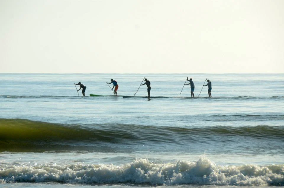 2014 PV Paddle.jpg