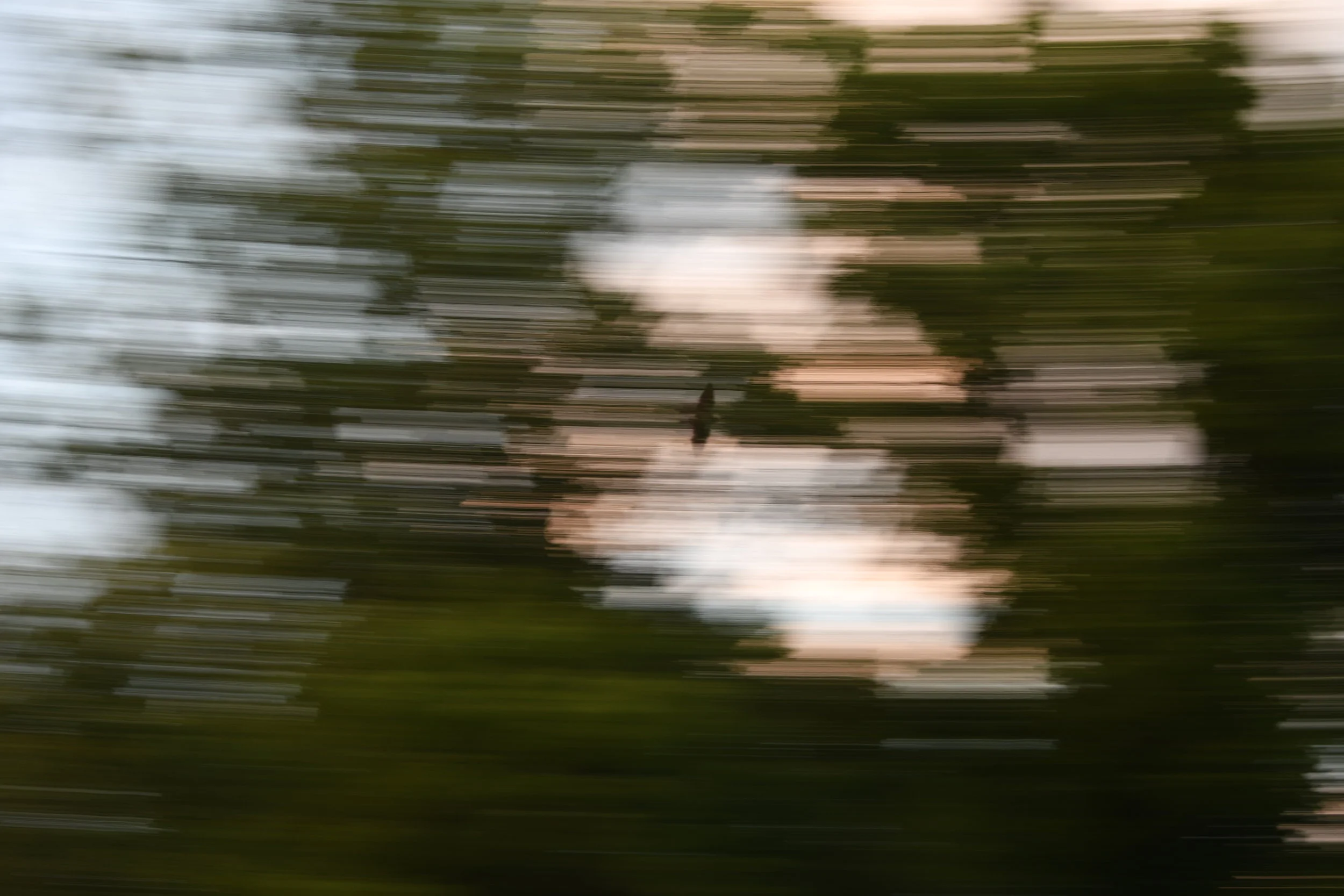 DSC_5691.JPG