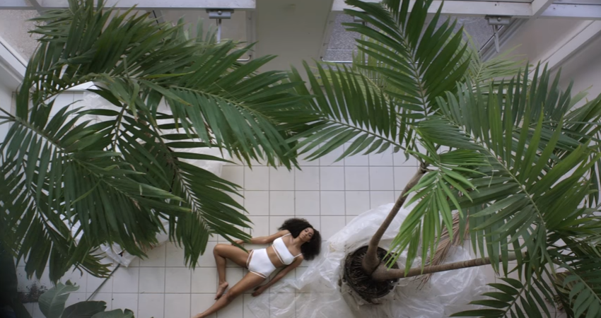 solange5.png