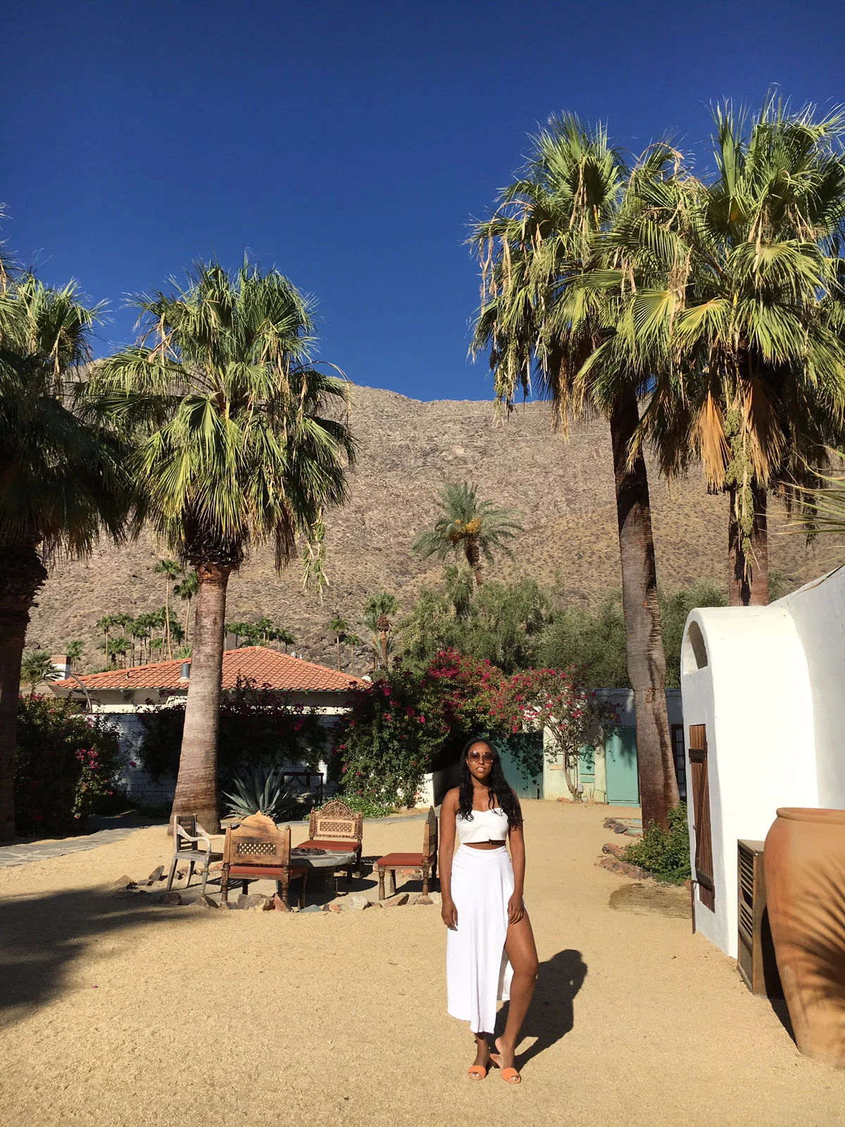 shiona-melina-palm-springs-guide-28.jpg