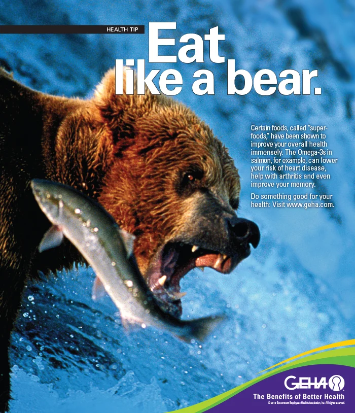 Bear ad.jpg