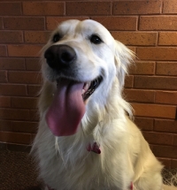 Tobi