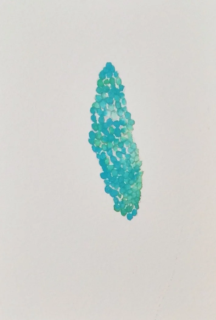 Untitled , watercolor on paper, 3 x 5