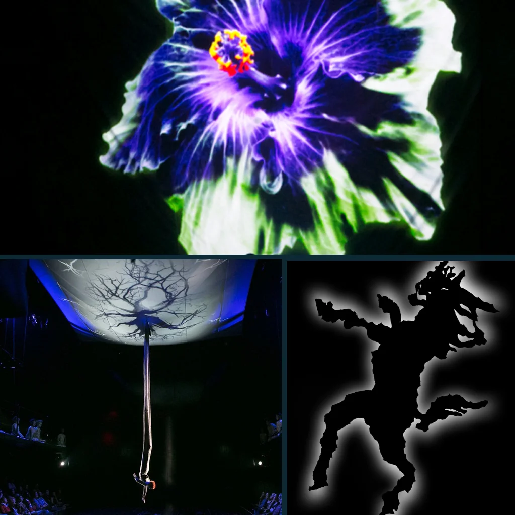 A Midsummer Night's Dream directed by Julie Taymor : Theater for a New Audience