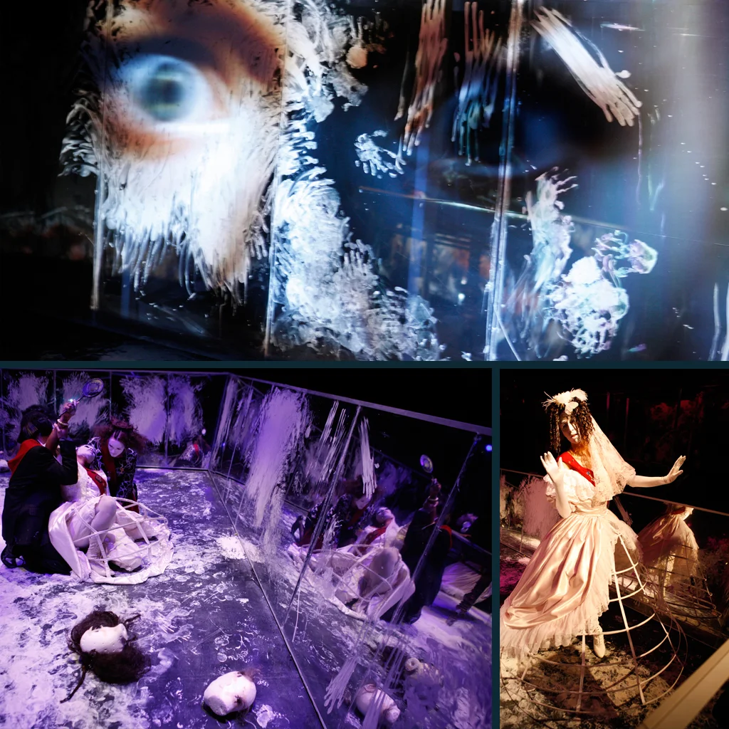 Funnyhouse of a Negro : CalArts Ensemble Theatre II Scenic & Video Design