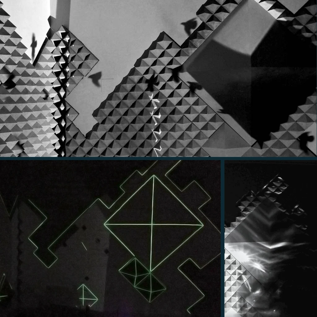 Bare Branches : Shrine Empire Gallery, New Delhi Video Design, Projection Mapping & Content Creation