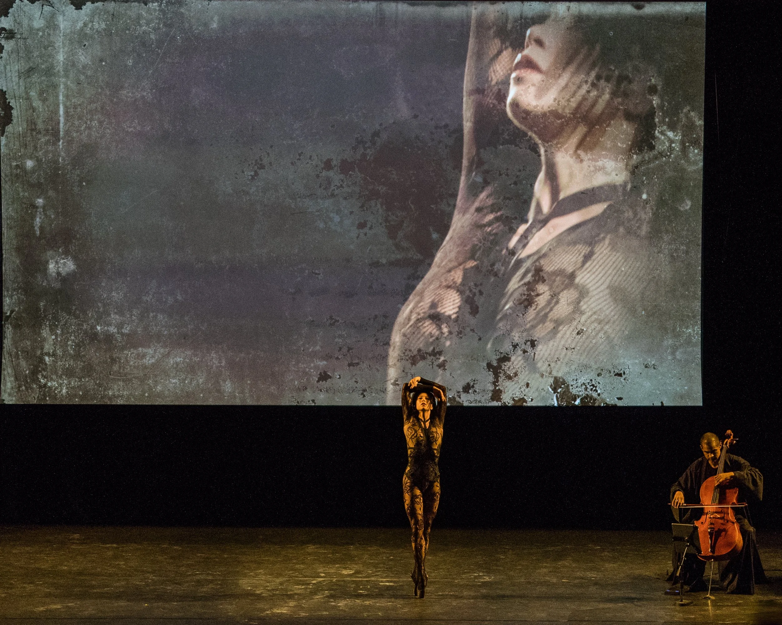 HOUSES OF ZODIAC
The Broad Museum | VIA
Projection Design