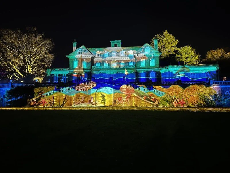 4 51765474262_3155a69eba_c.jpg