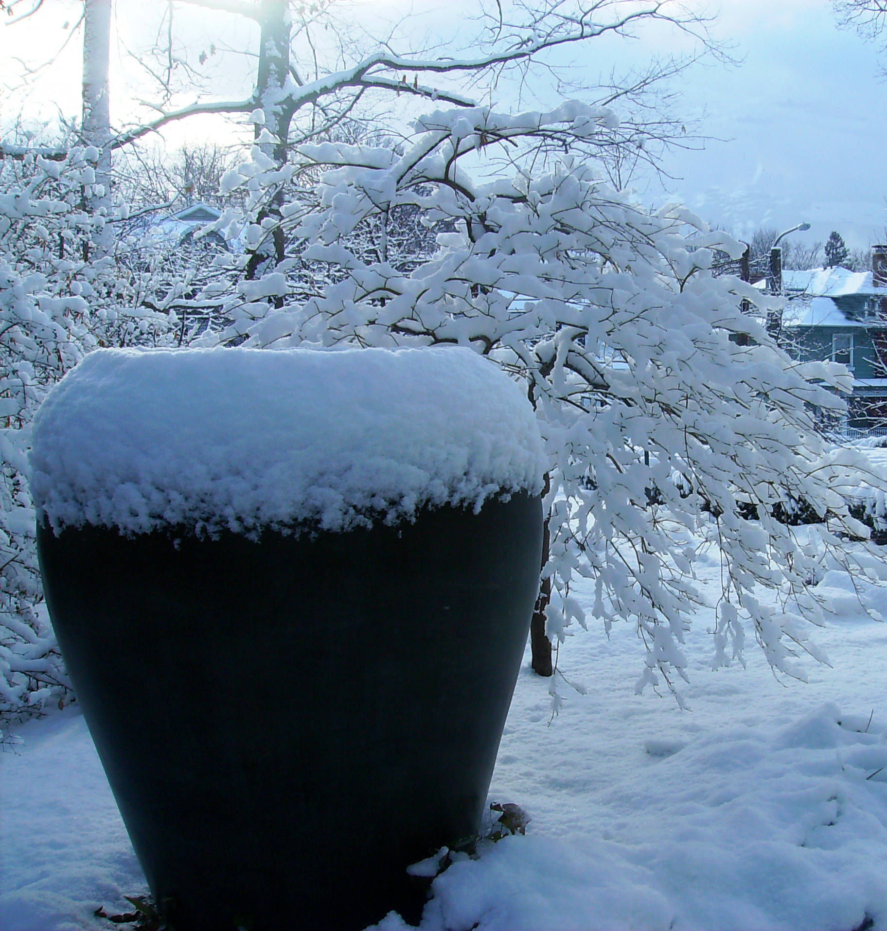 WINTER PLANTER.jpeg