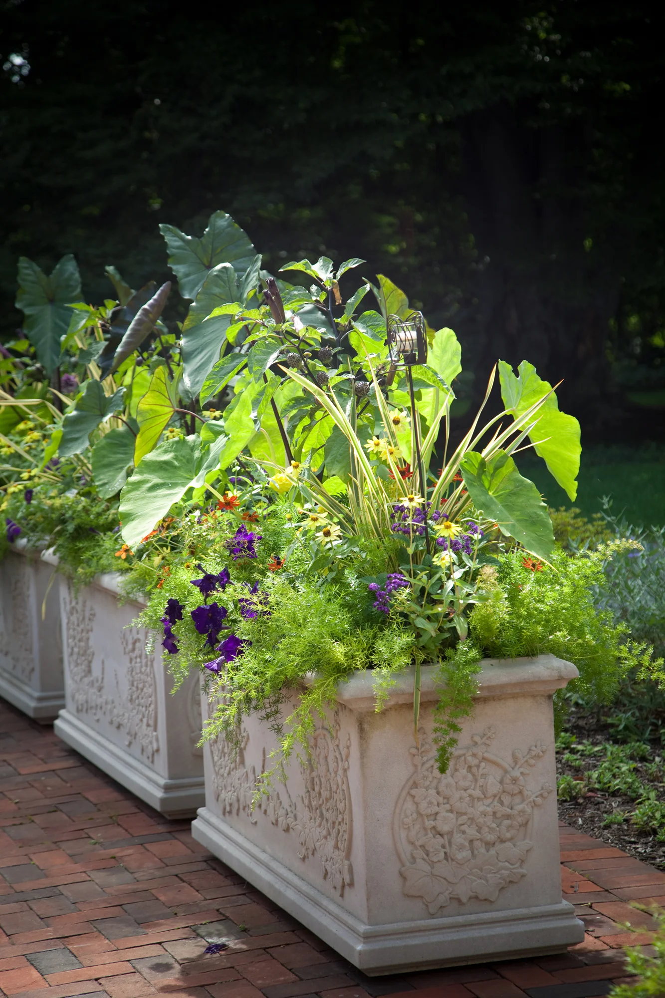 'Hollyhock' trough planter supplied by Longshadow.