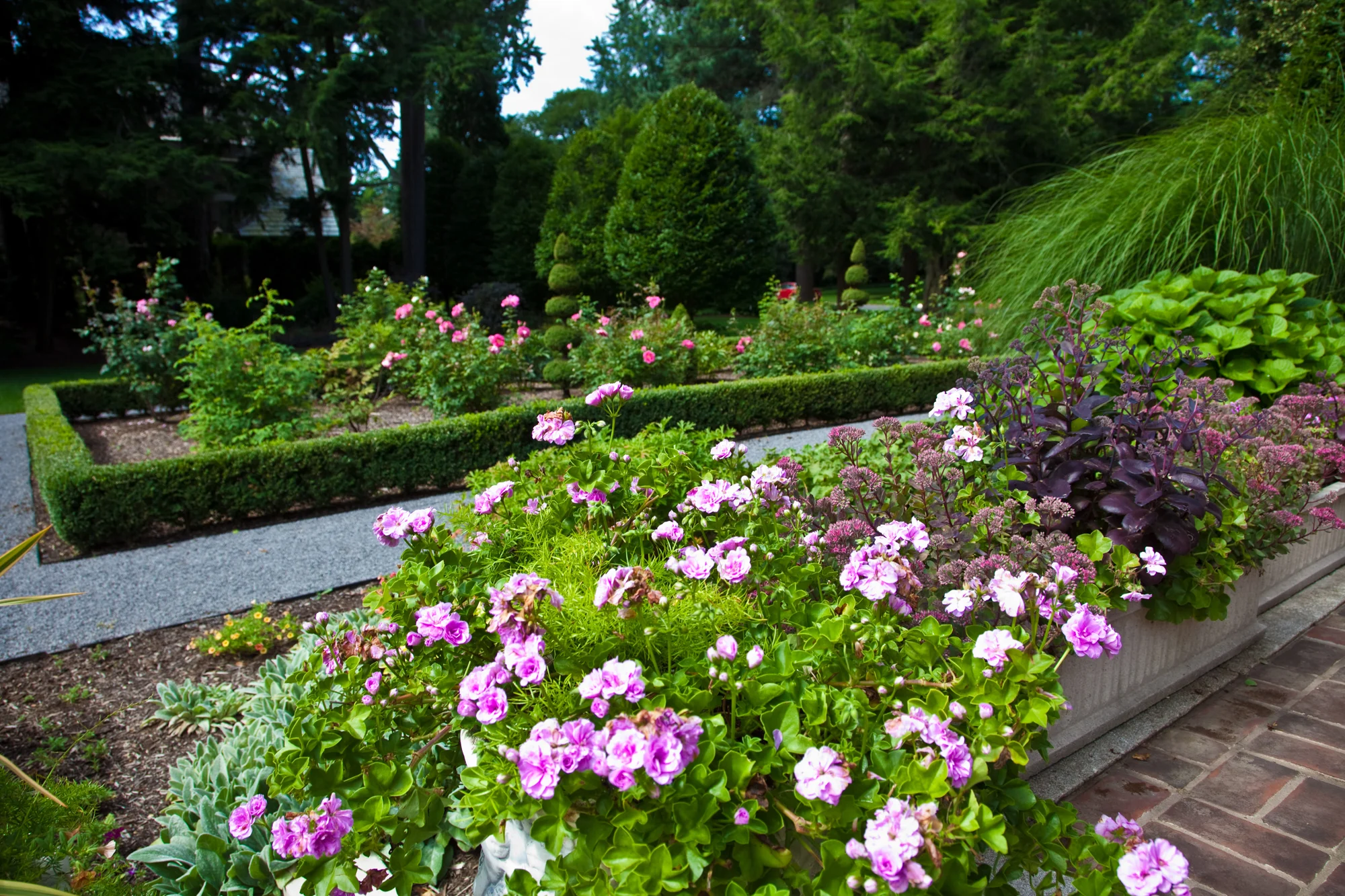 View from the private side terrace overlooks the Rose and peony garden. The garden is edged in a low boxwood hedging.