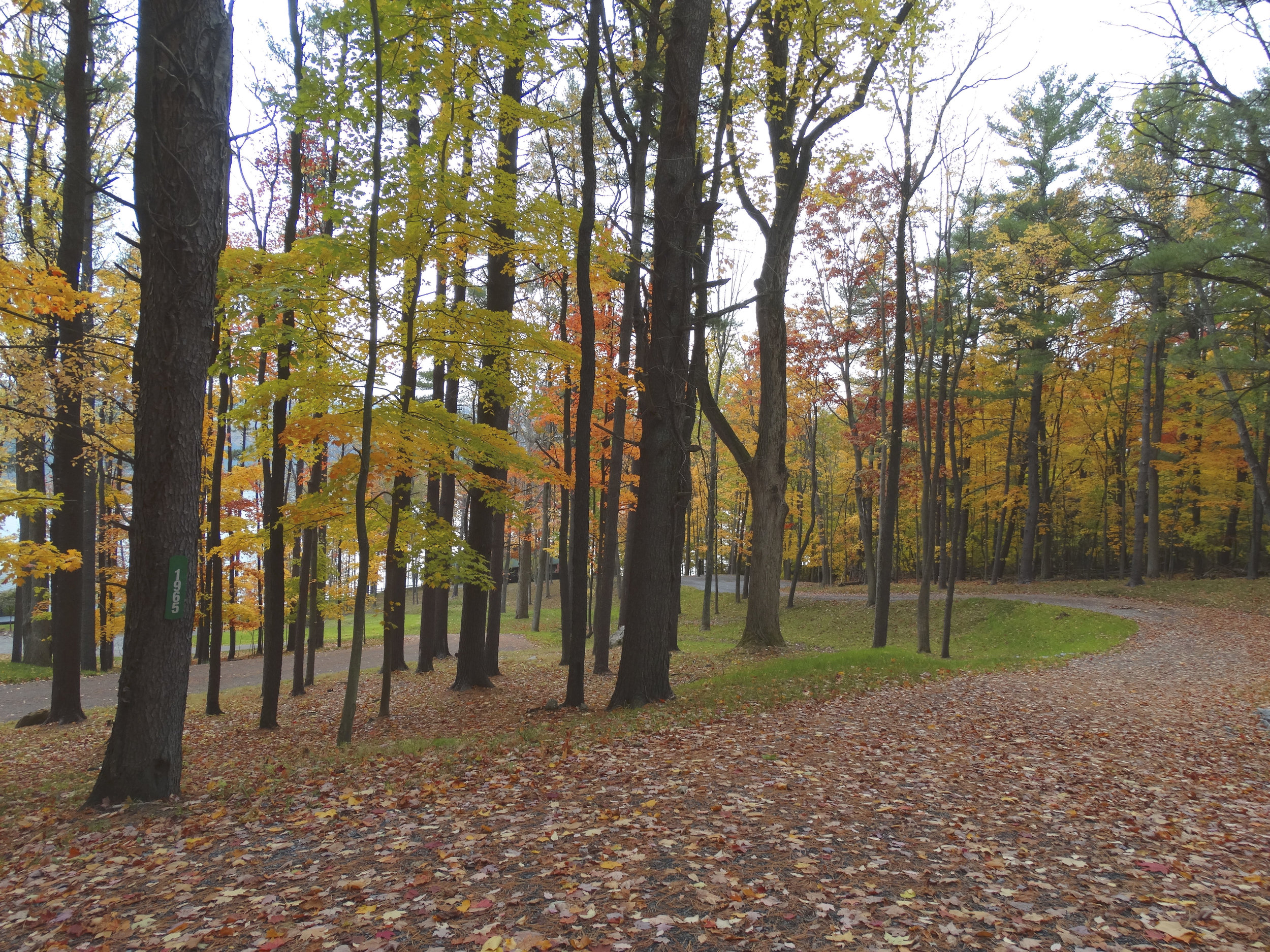 This home was a new construction on Skaneateles Lake, part of the Finger Lakes region in New York State. The client wanted the site design to evince modernity and compatibility with the site’s natural surroundings. A long driveway winds through the dense woodlands down a steep grade toward the lake front. A gravel parking area is situated near the main house, with a golf cart path to transport groceries and older family members to the side entrance. Because the home is only used a few weeks out of the year the client wanted little maintenance as possible and to be able to enjoy the lake with minimal work. A.J. Miller Landscape Architecture carefully chose native plants with low water requirements and deer resistance for this site. A bountiful wildflower meadow with a staggered linear grid of hedges and trees was planted on the hill behind the house. Five foot high retaining walls were needed to ensure the grade change could be supported. These elegant walls were constructed with concrete and wood plank formed edging. Climbing hydrangeas were planted in pockets along the walls at the lower level; these flowering creepers will attach themselves to the surface of the structure without causing any damage. Beautifully crafted IPE wood was used for the handrails, posts, and railings. The railings were designed with stainless steel cabling for a light and airy fenceline. A gravel terrace wraps around the home and monolithic bluestone pavers create the pathways on the site. These massive bluestones are used for the stairs leading up to the parking area, covered porch, beach and meadow as well. To ensure visual continuity on the site, the same concrete walls and bluestone pavers were utilized around a recessed hot tub and outdoor shower near the house. The site plan also includes the adjoining guesthouse property, providing a seamless transition through the woods, lawns, and pathways.