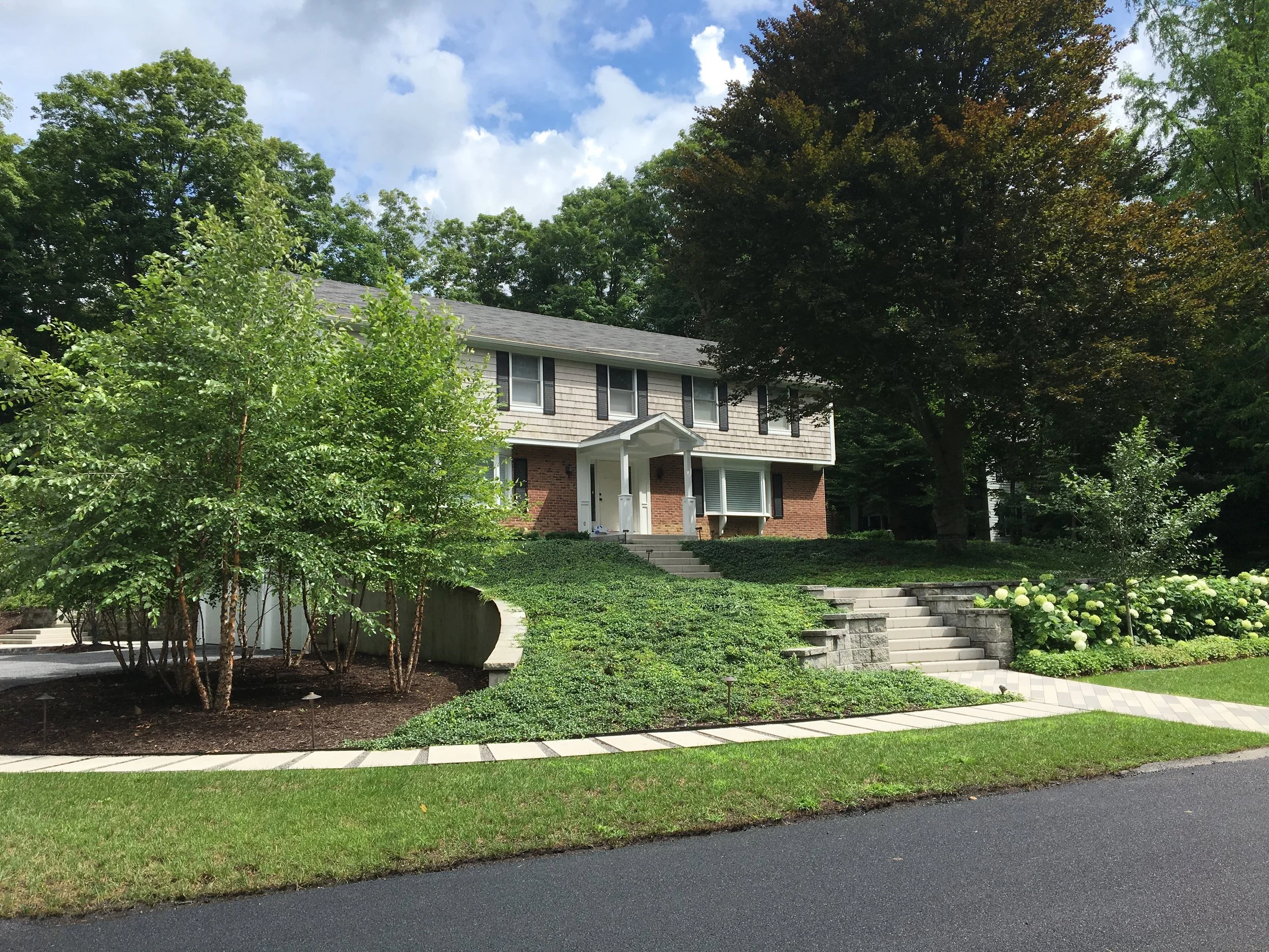 The Vinca has now almost covering the slope and the Hydrangeas, geraniums and River Birch trees full and healthy.