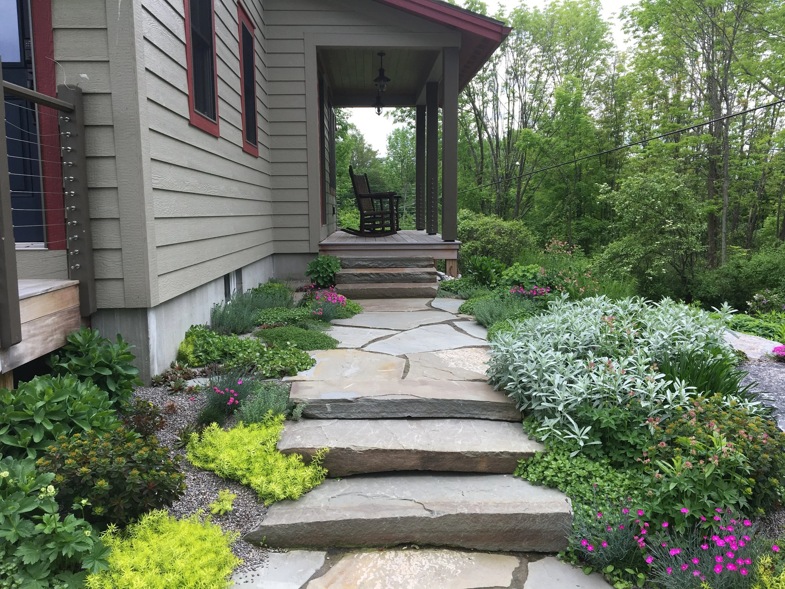 Rock garden plantings for flagstone walkway