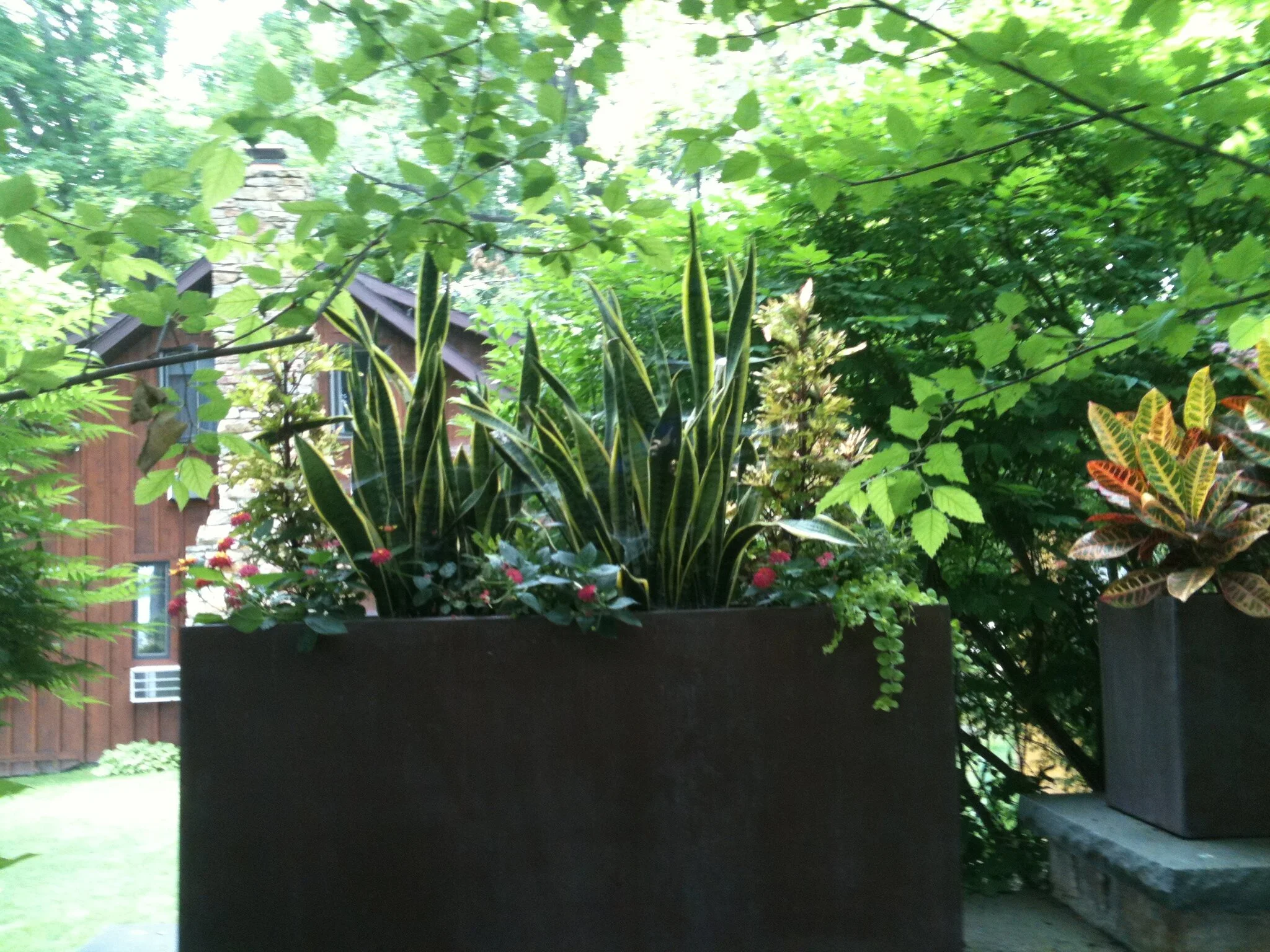  Monsoon planter supplied by us in 2007 for a Thousand Island property to sit with two others on a wall as a divider.  It is available in 6 sizes and many finishes. Due to the depth of 24” the plants require very little watering and the planters are 