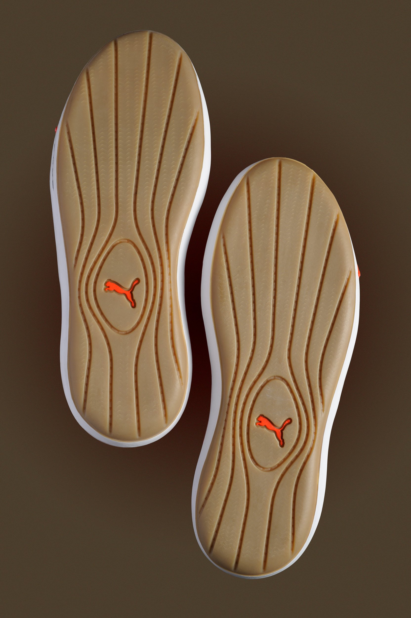 Puma Soles 2 sRGB 2500px.jpg