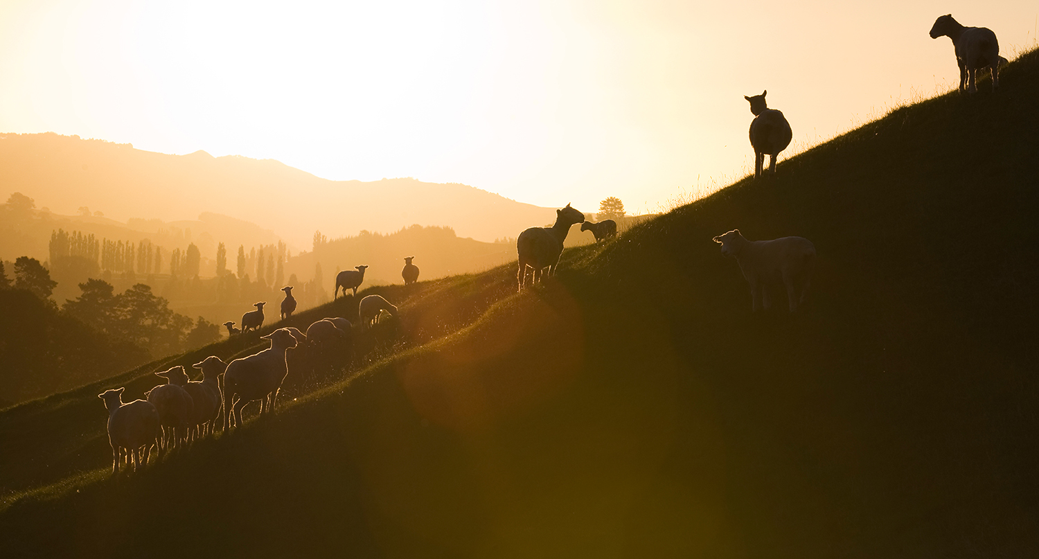 Roxborough Farm