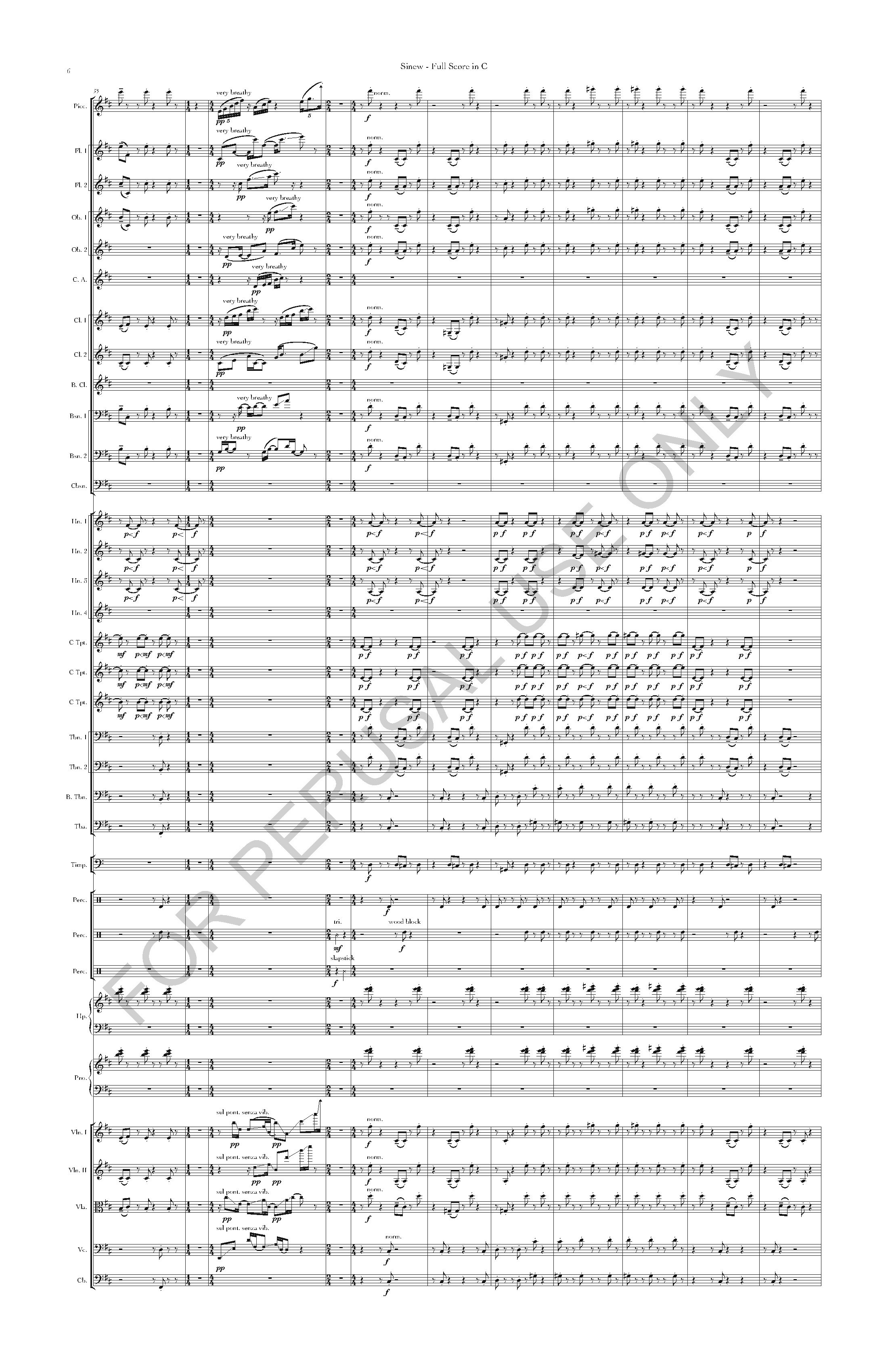 REF - Sinew - Taylor Joshua Rankin - V1 - Sinew - Full Score in C_Page_06.jpg