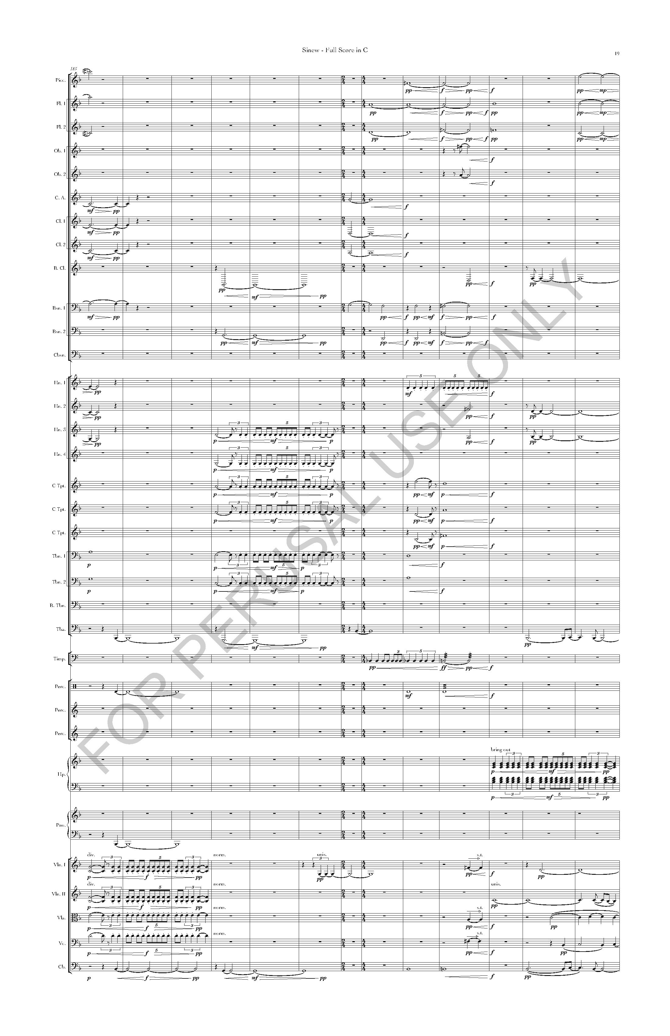 REF - Sinew - Taylor Joshua Rankin - V1 - Sinew - Full Score in C_Page_19.jpg