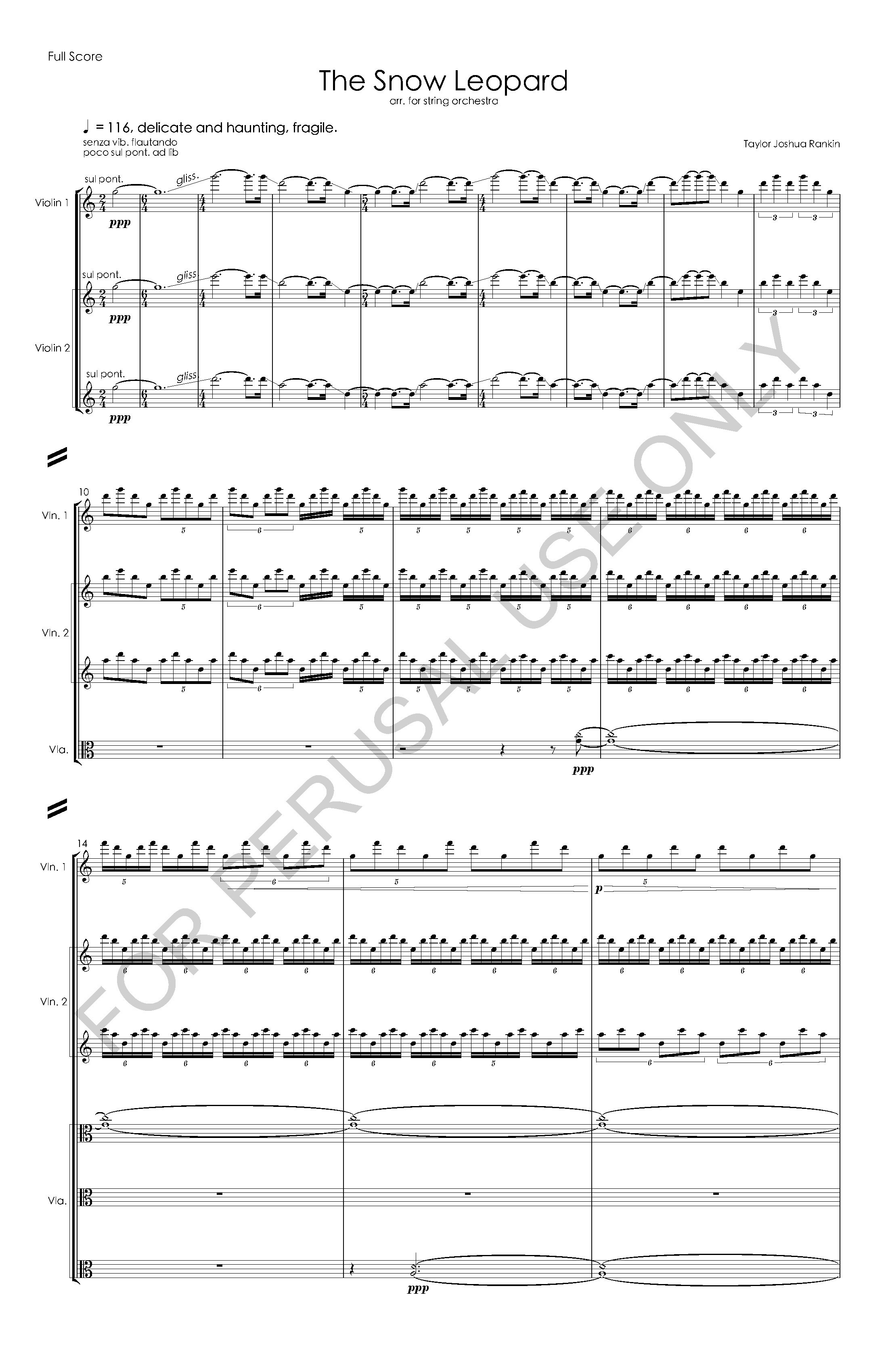 #3 the snow leopard STRING ORCHESTRA VERSION - Full Score - 2023-07-20_Page_03.jpg