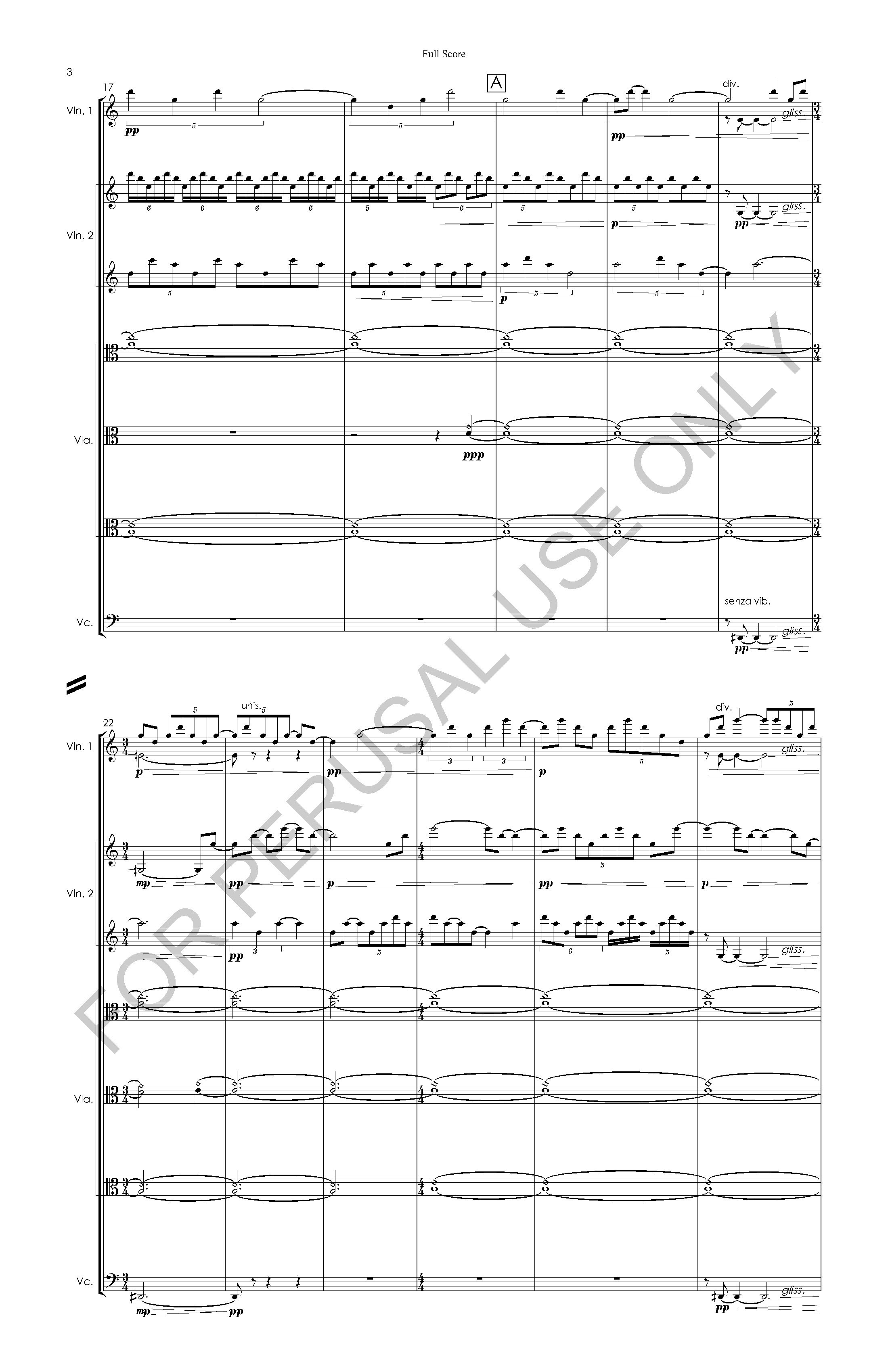 #3 the snow leopard STRING ORCHESTRA VERSION - Full Score - 2023-07-20_Page_04.jpg