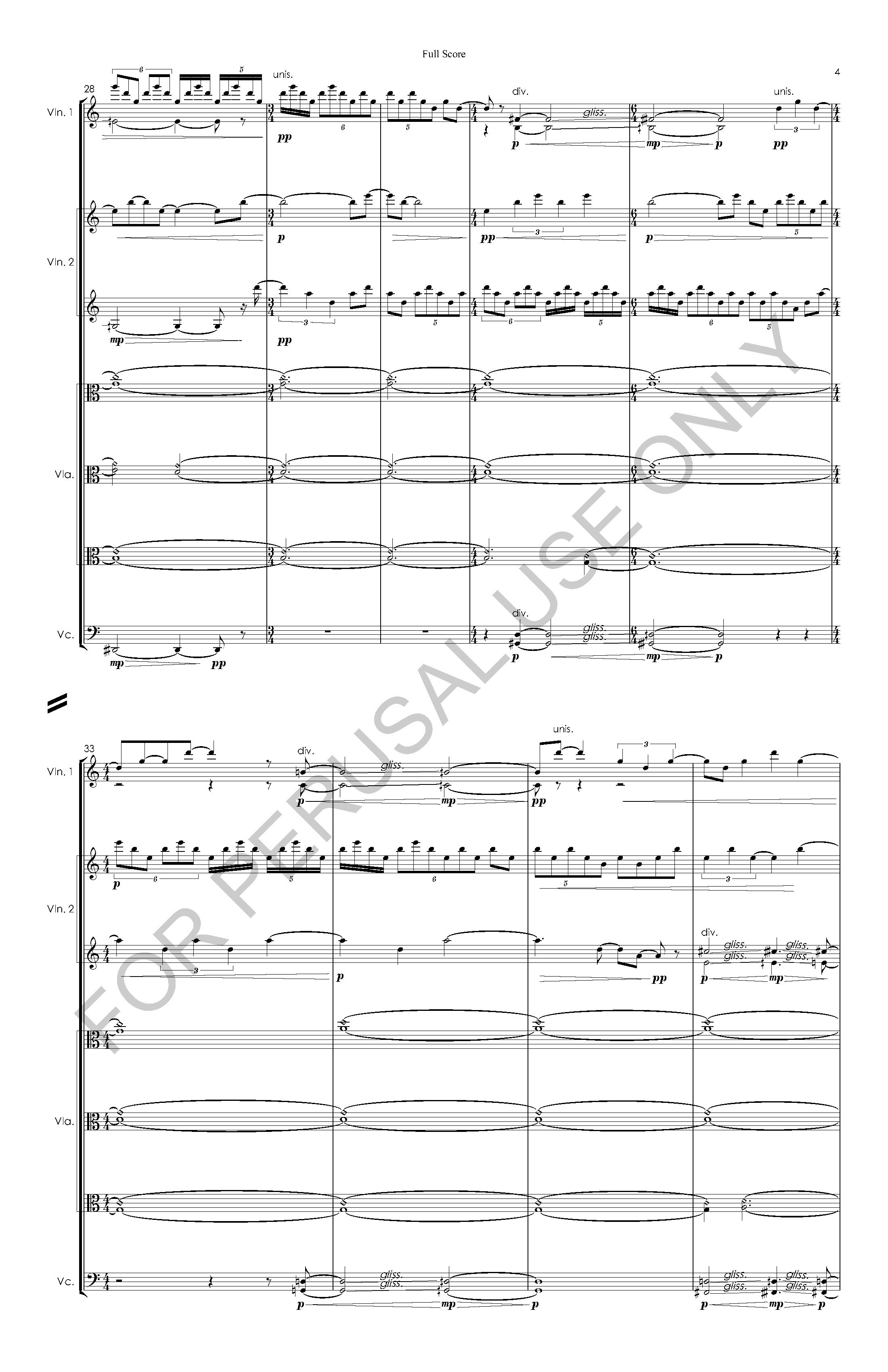 #3 the snow leopard STRING ORCHESTRA VERSION - Full Score - 2023-07-20_Page_05.jpg