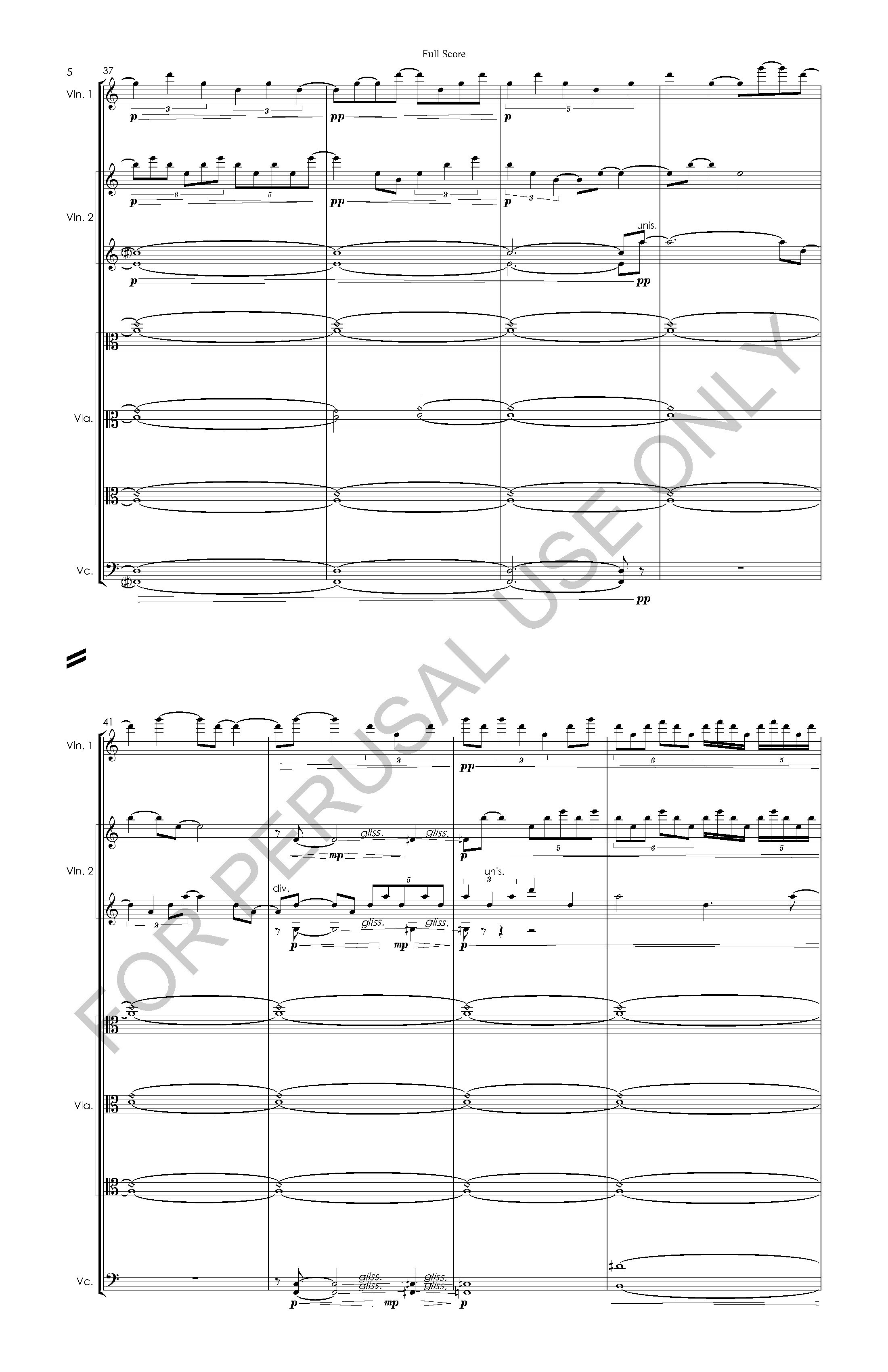 #3 the snow leopard STRING ORCHESTRA VERSION - Full Score - 2023-07-20_Page_06.jpg