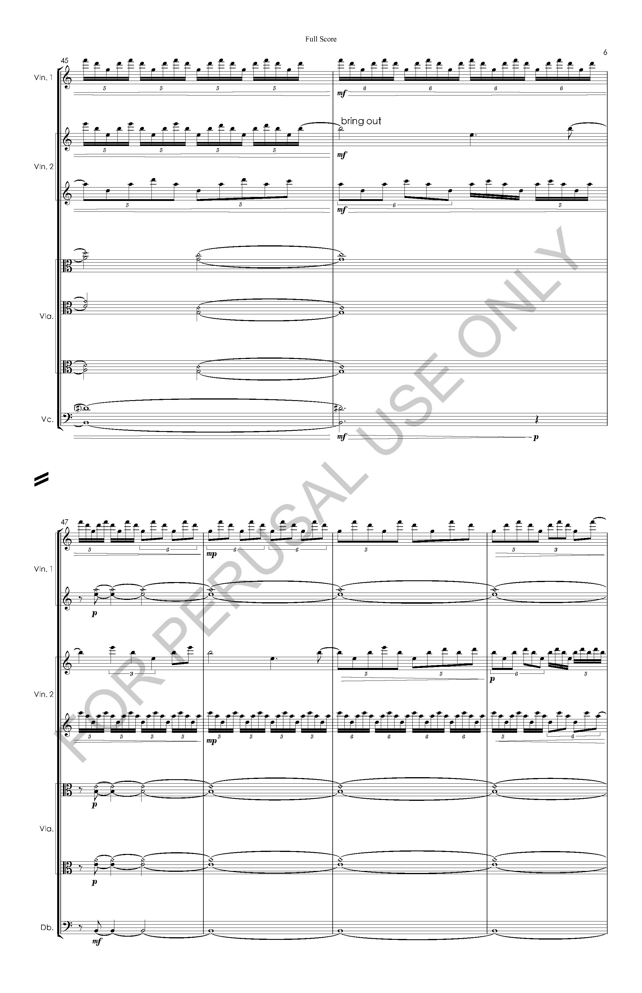#3 the snow leopard STRING ORCHESTRA VERSION - Full Score - 2023-07-20_Page_07.jpg
