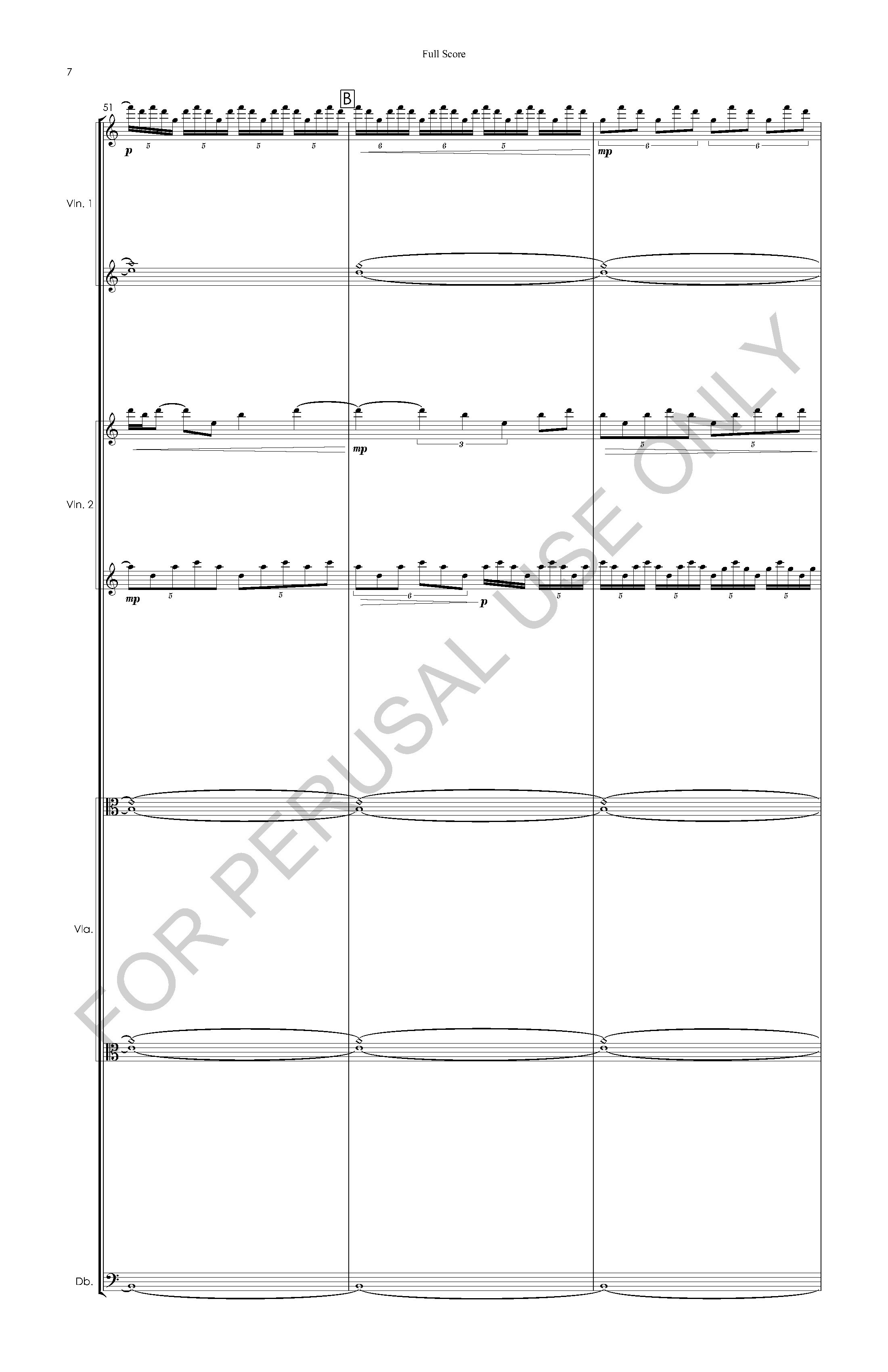 #3 the snow leopard STRING ORCHESTRA VERSION - Full Score - 2023-07-20_Page_08.jpg
