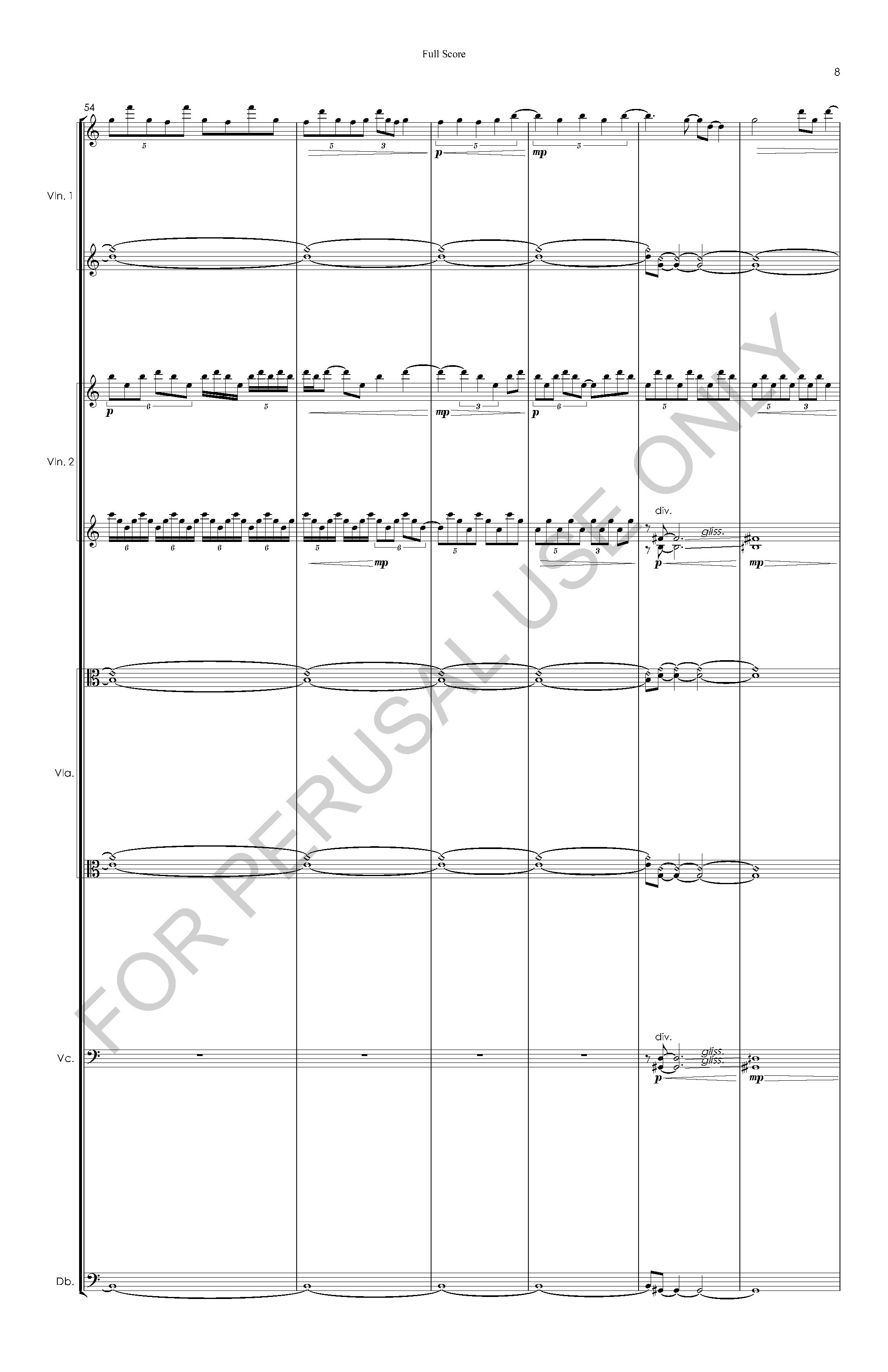 #3 the snow leopard STRING ORCHESTRA VERSION - Full Score - 2023-07-20_Page_09.jpg