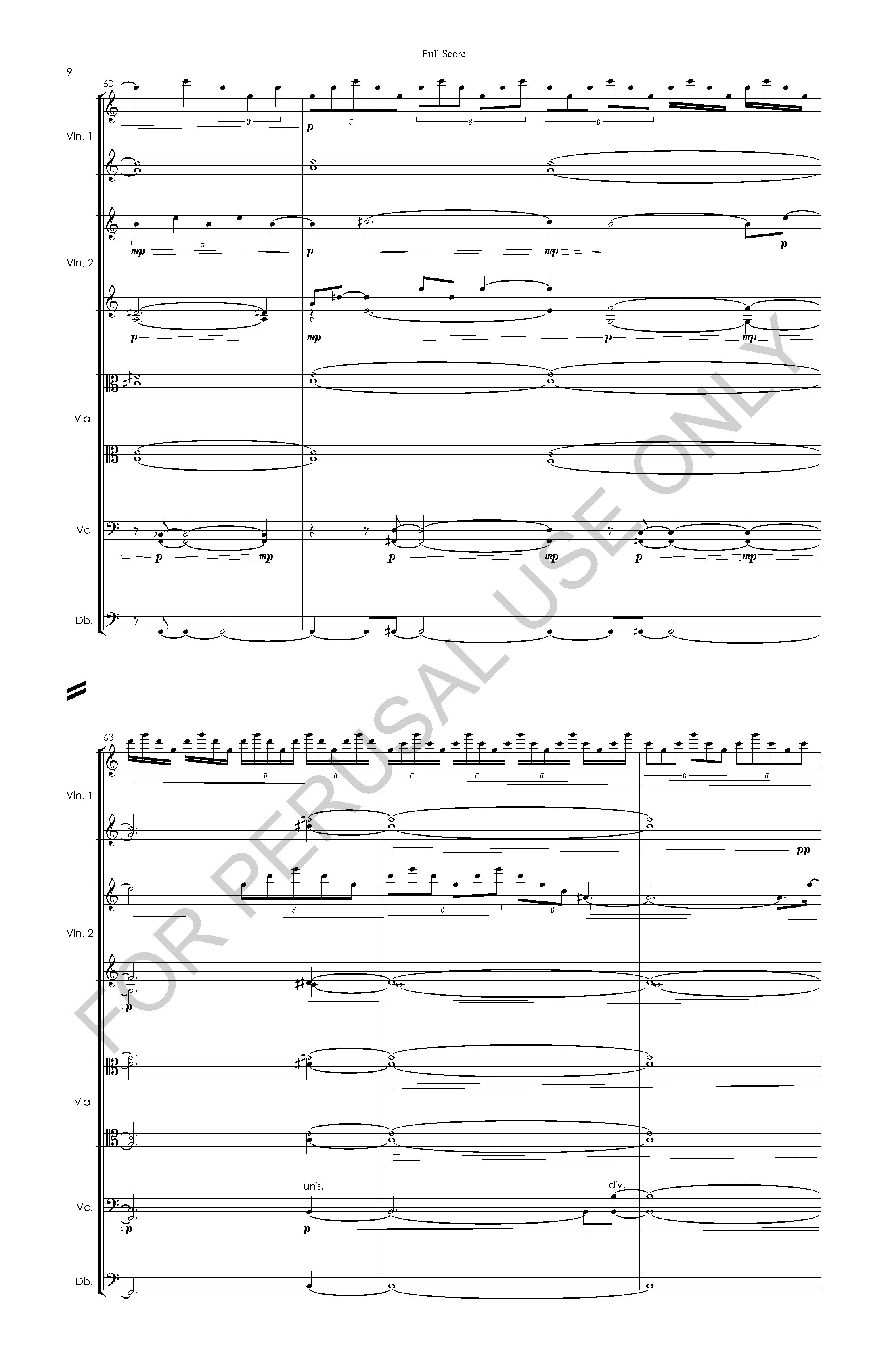 #3 the snow leopard STRING ORCHESTRA VERSION - Full Score - 2023-07-20_Page_10.jpg