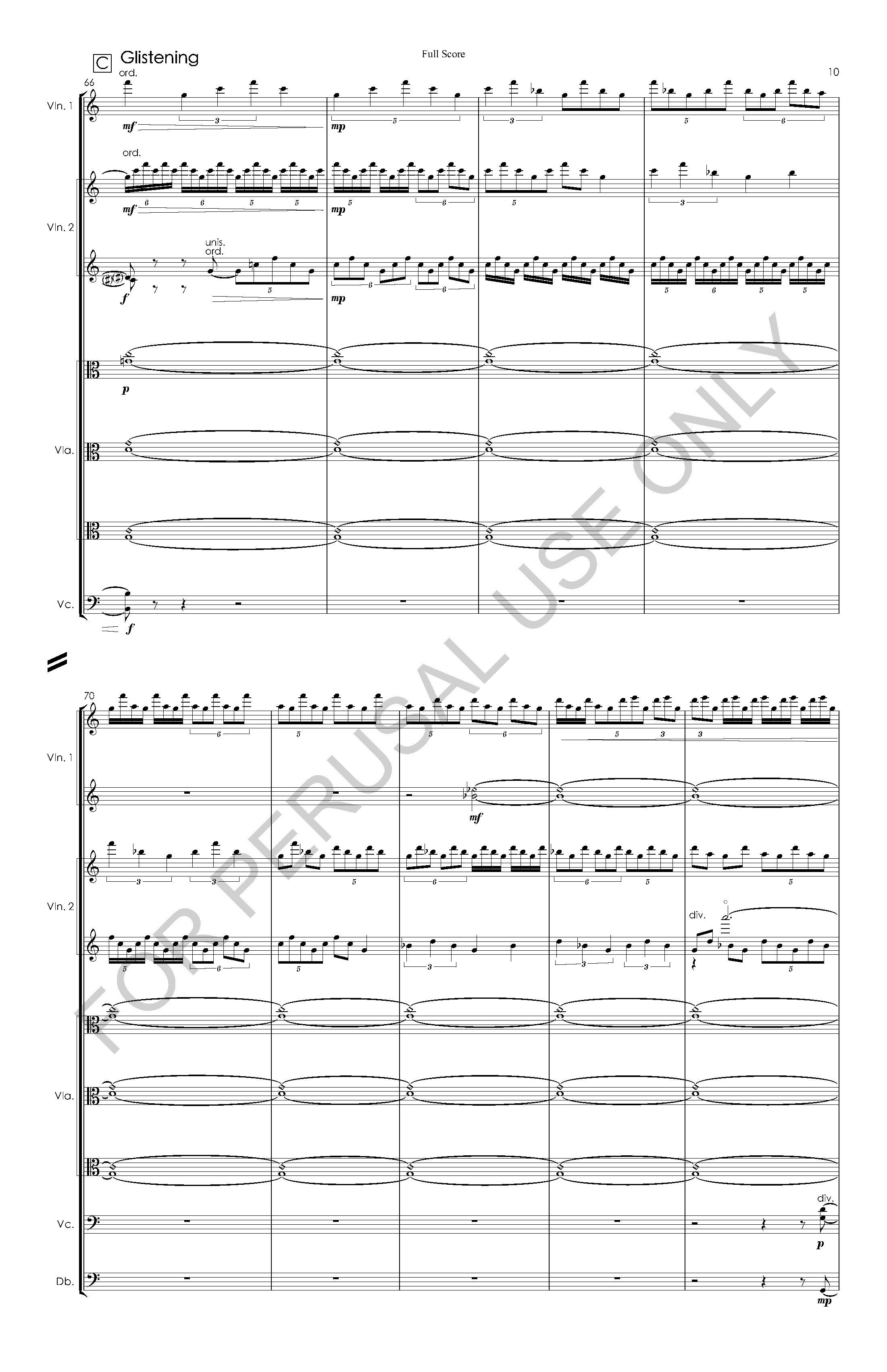 #3 the snow leopard STRING ORCHESTRA VERSION - Full Score - 2023-07-20_Page_11.jpg