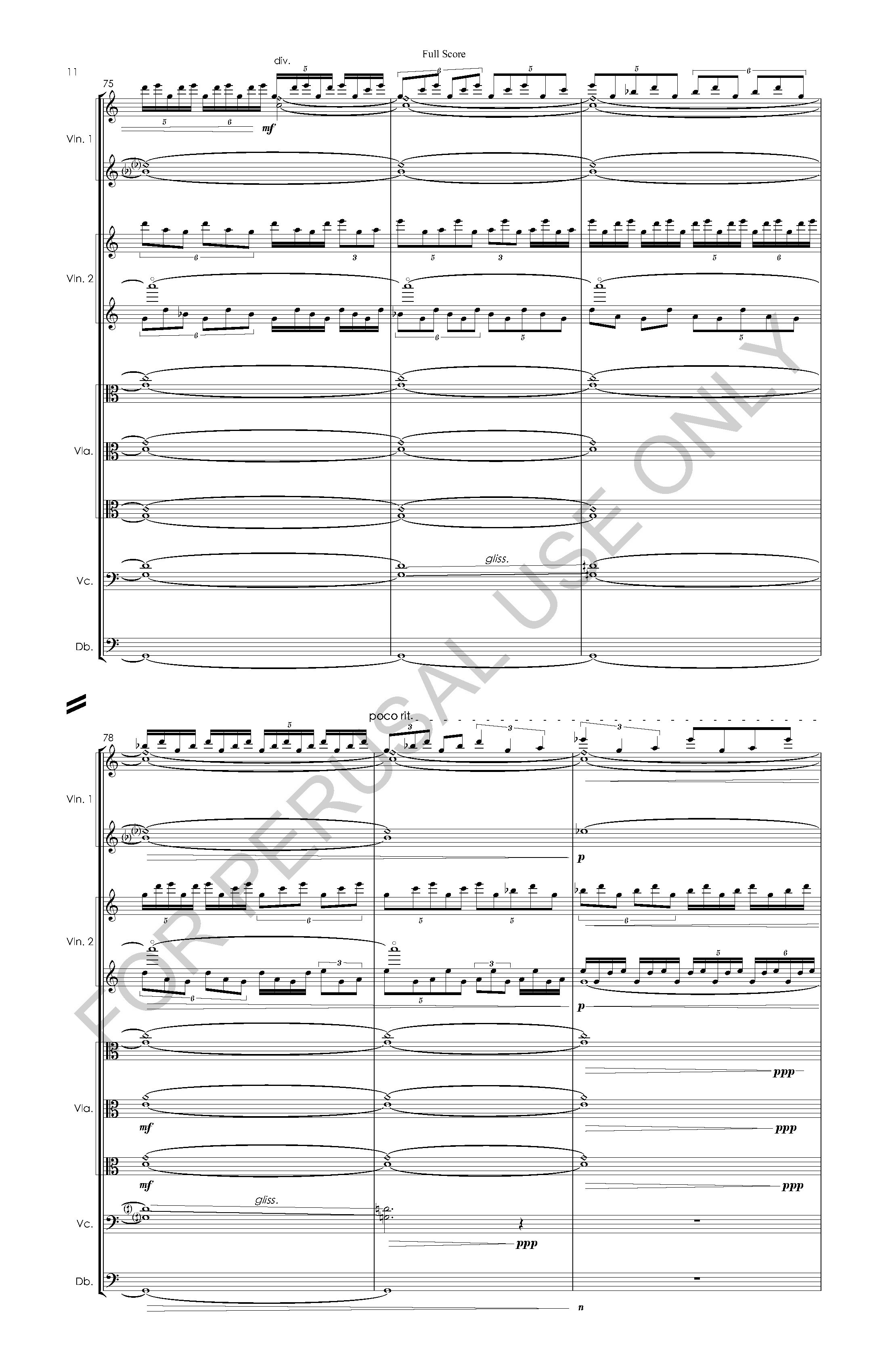 #3 the snow leopard STRING ORCHESTRA VERSION - Full Score - 2023-07-20_Page_12.jpg
