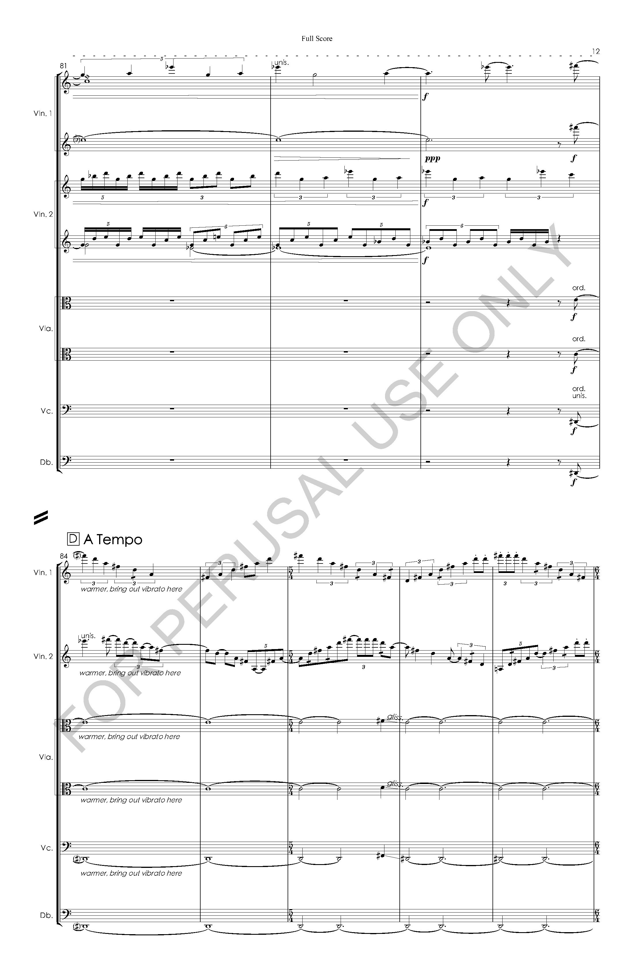 #3 the snow leopard STRING ORCHESTRA VERSION - Full Score - 2023-07-20_Page_13.jpg