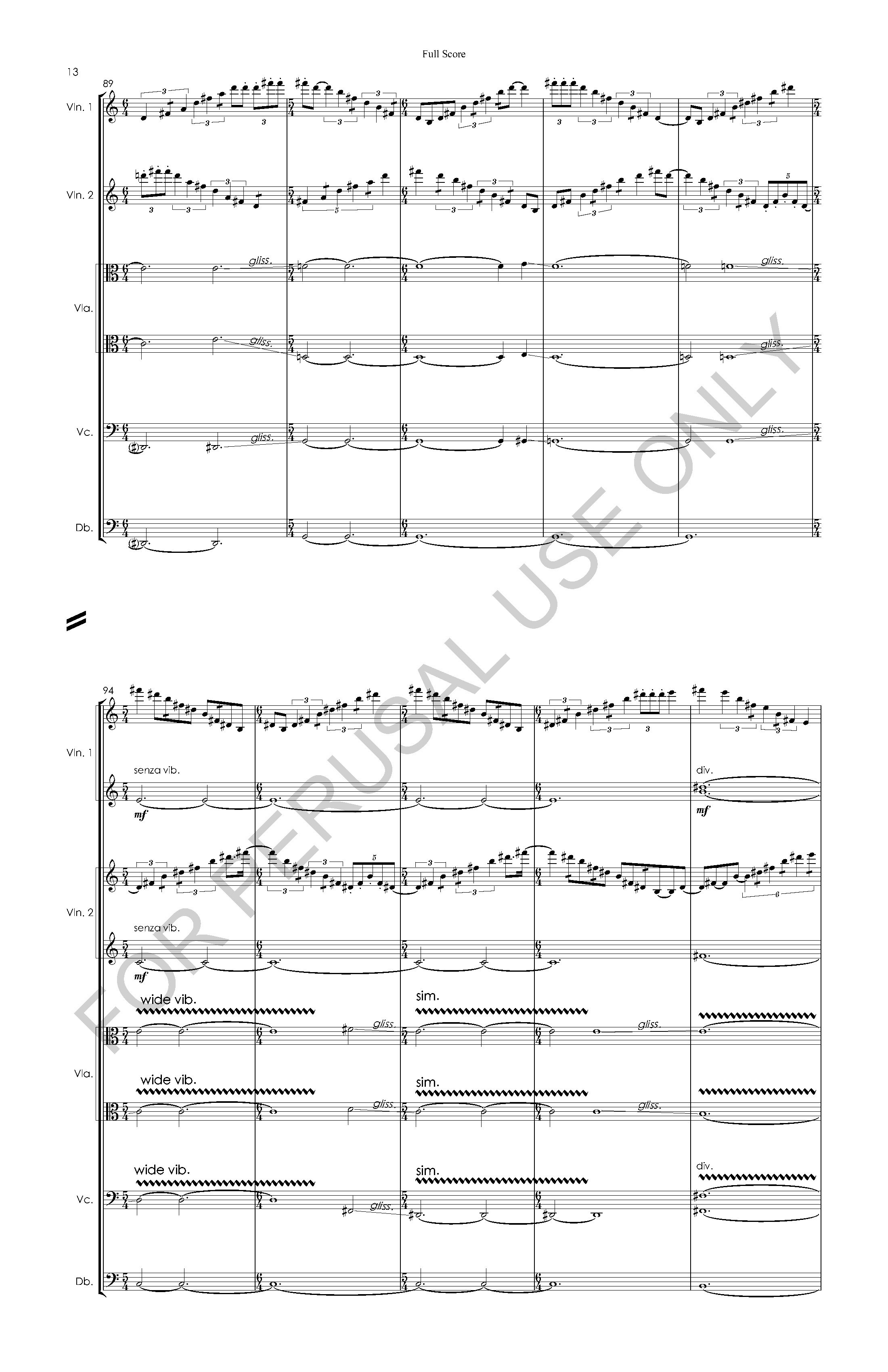 #3 the snow leopard STRING ORCHESTRA VERSION - Full Score - 2023-07-20_Page_14.jpg