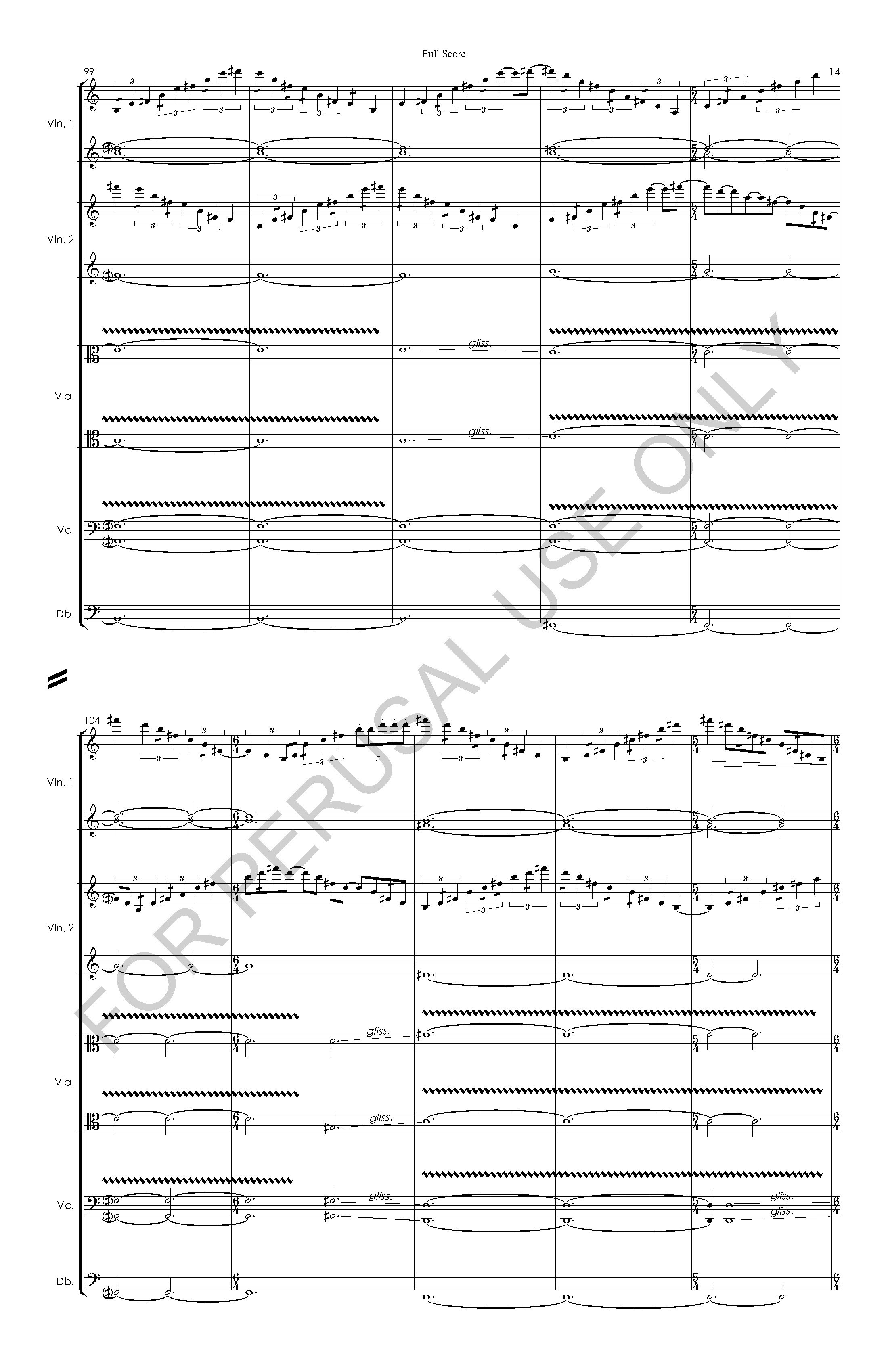 #3 the snow leopard STRING ORCHESTRA VERSION - Full Score - 2023-07-20_Page_15.jpg