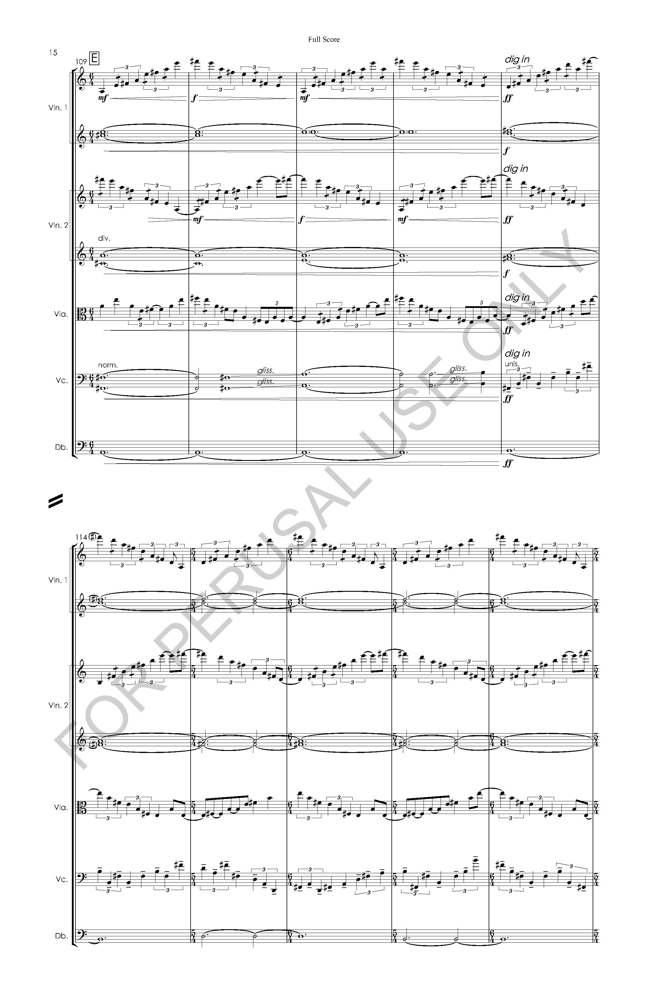 #3 the snow leopard STRING ORCHESTRA VERSION - Full Score - 2023-07-20_Page_16.jpg