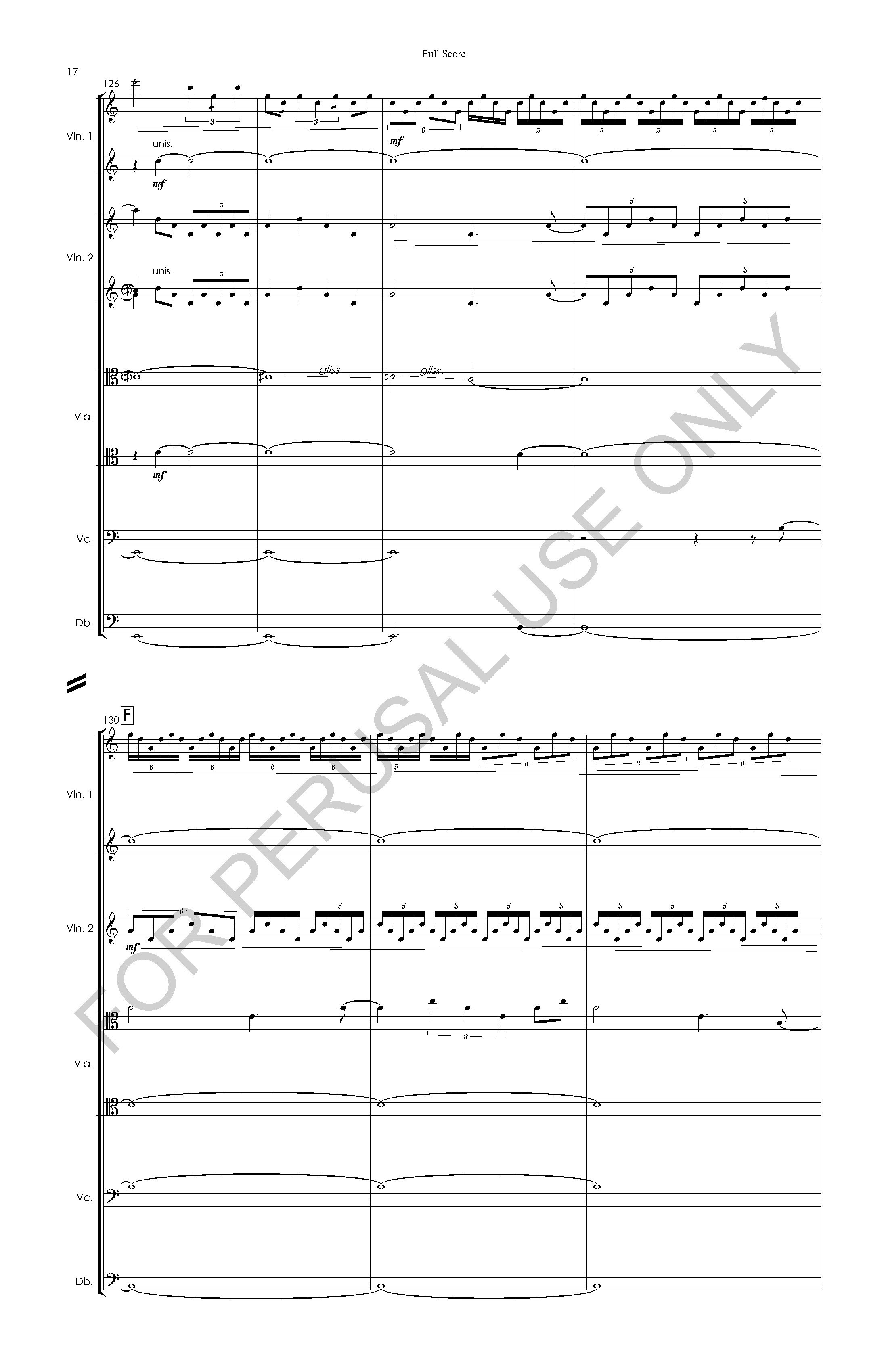 #3 the snow leopard STRING ORCHESTRA VERSION - Full Score - 2023-07-20_Page_18.jpg