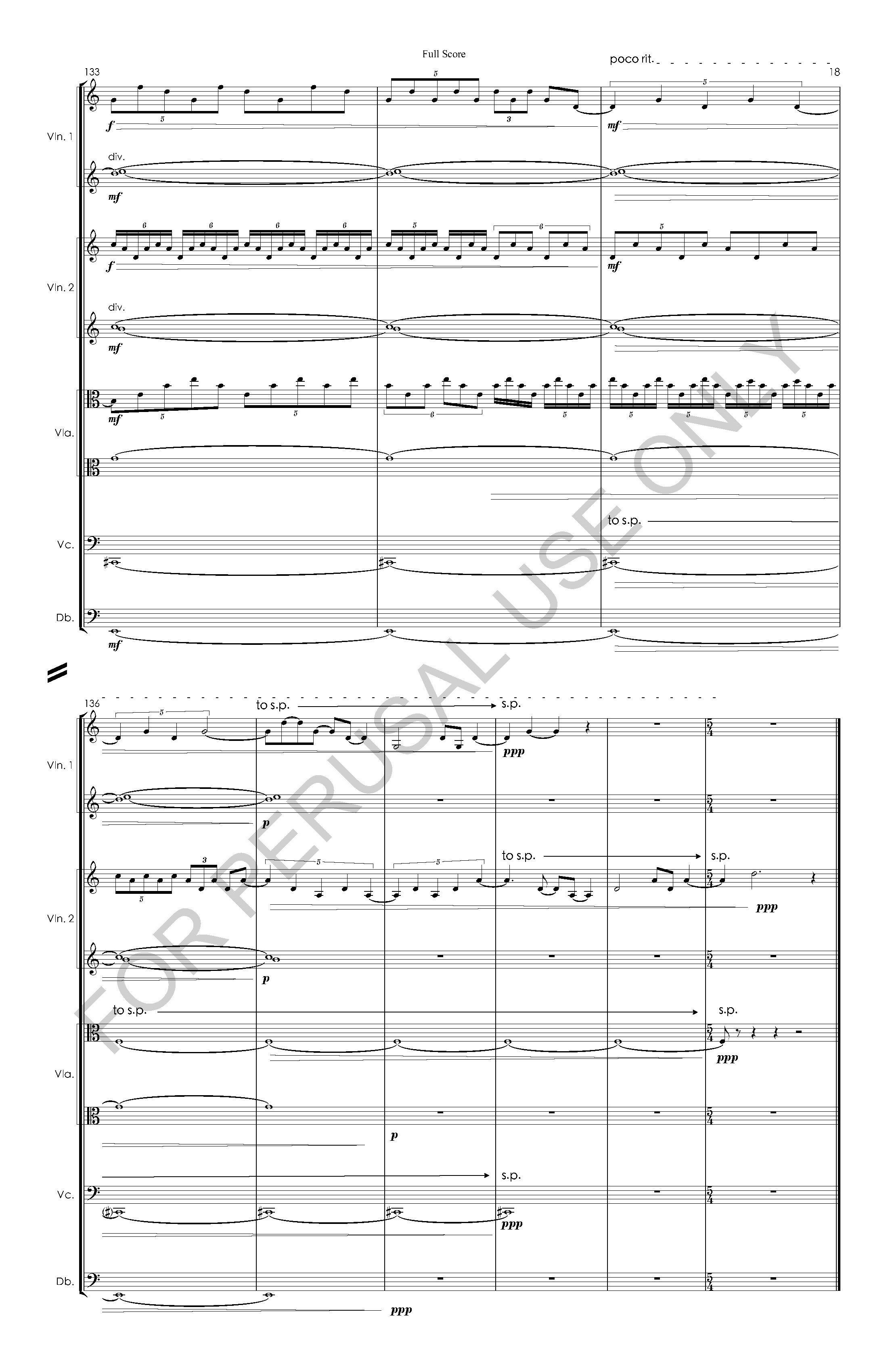 #3 the snow leopard STRING ORCHESTRA VERSION - Full Score - 2023-07-20_Page_19.jpg