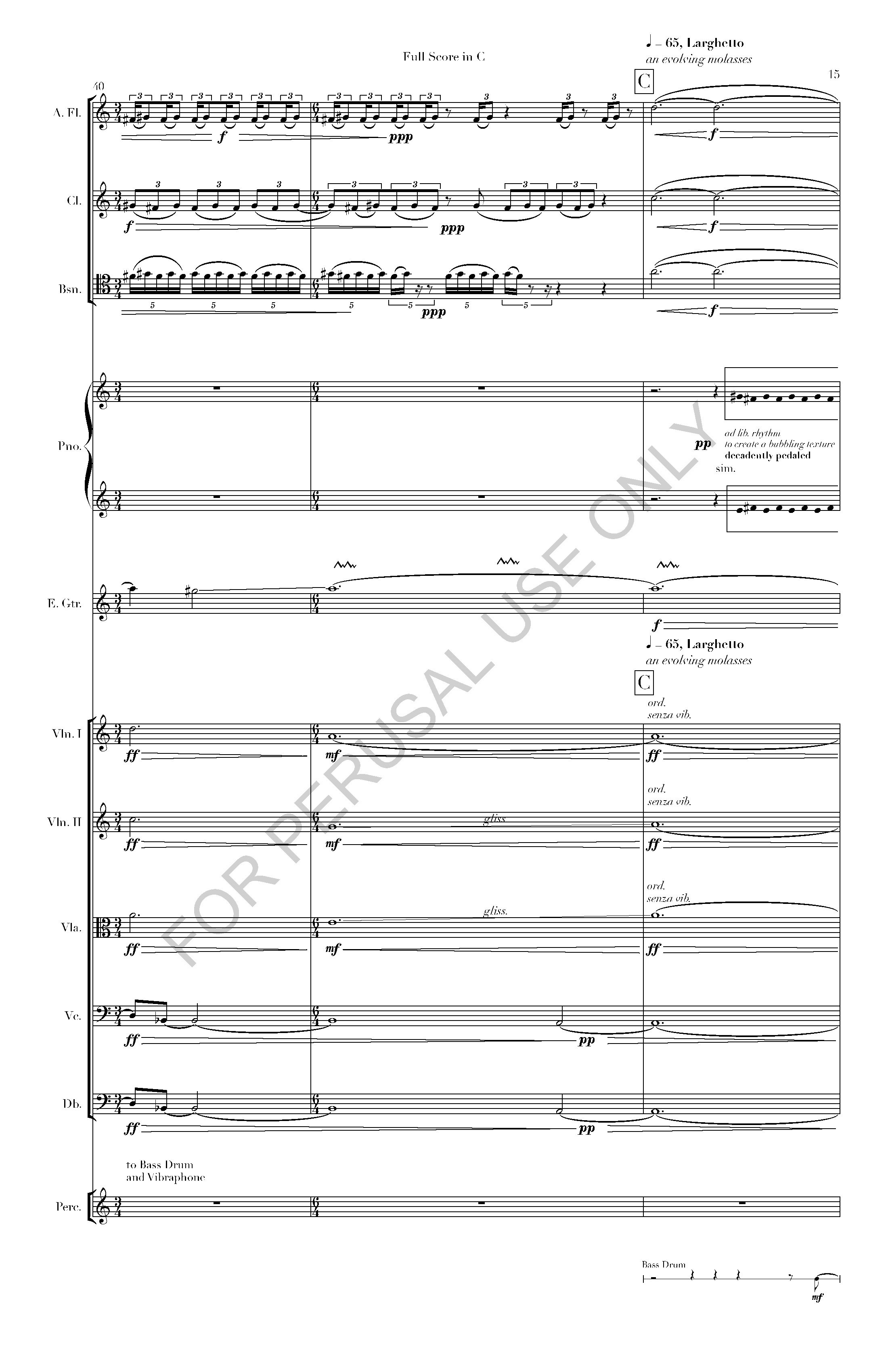 Gauze and Particulate - Full Score in C_Page_17.jpg