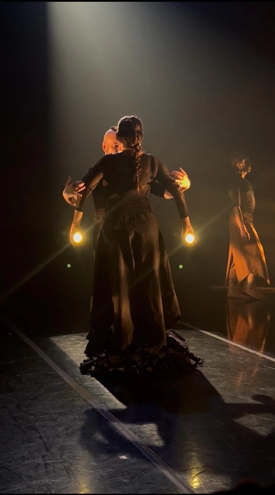 Triptico lights carola back.jpeg