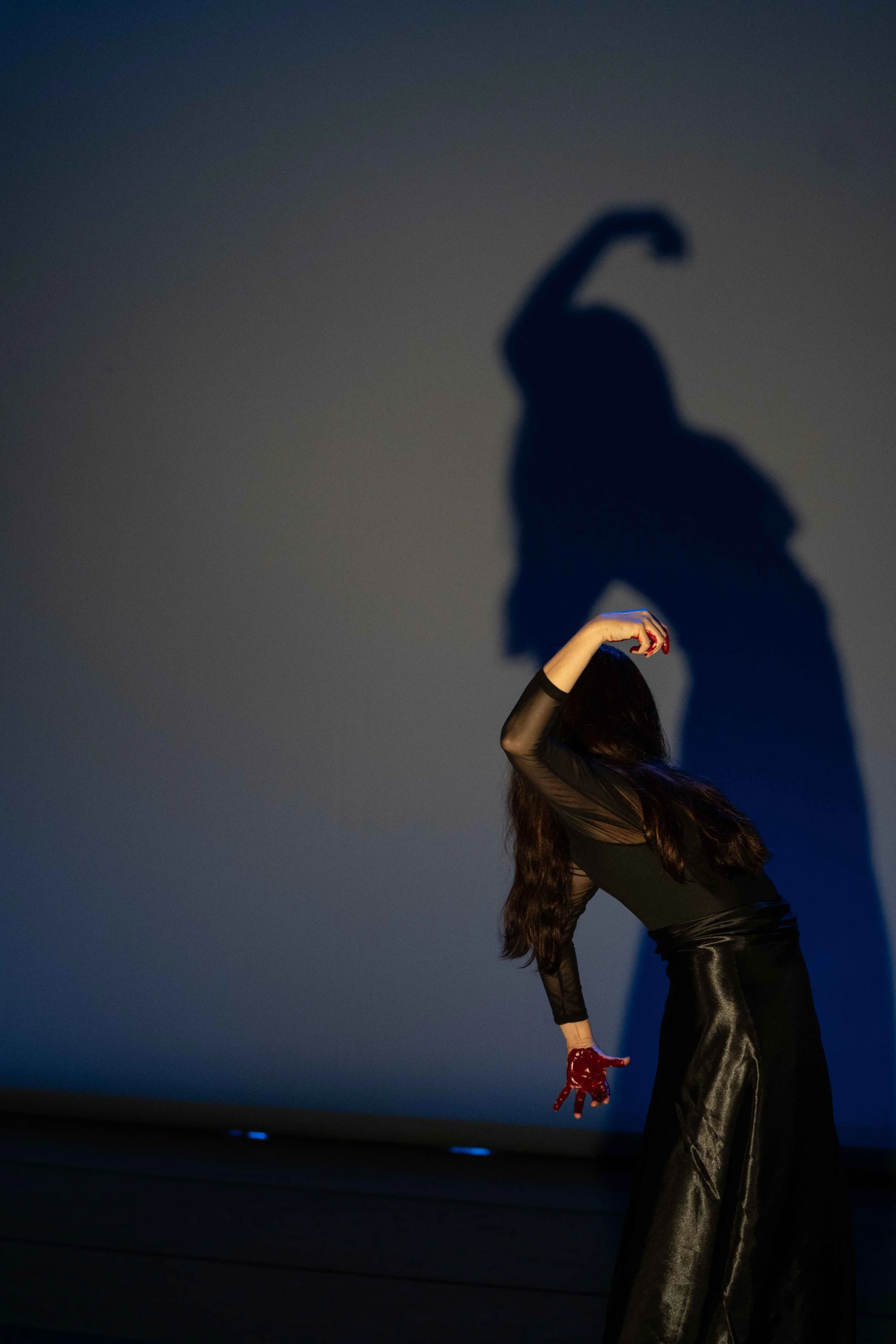 Carola back shadow.jpeg