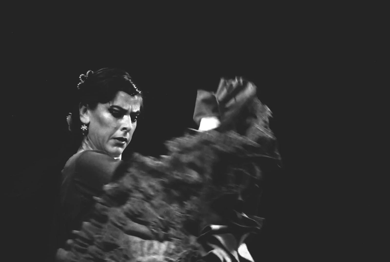 WhatsApp Image 2025-12-30 at 14.36.46.jpeg