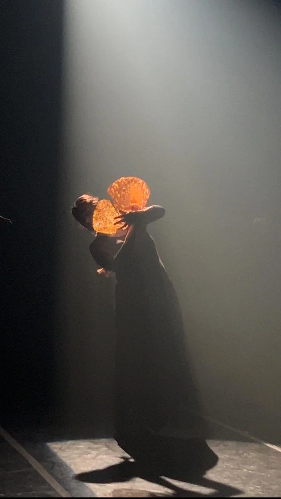 Triptico carola con peinetas.jpeg