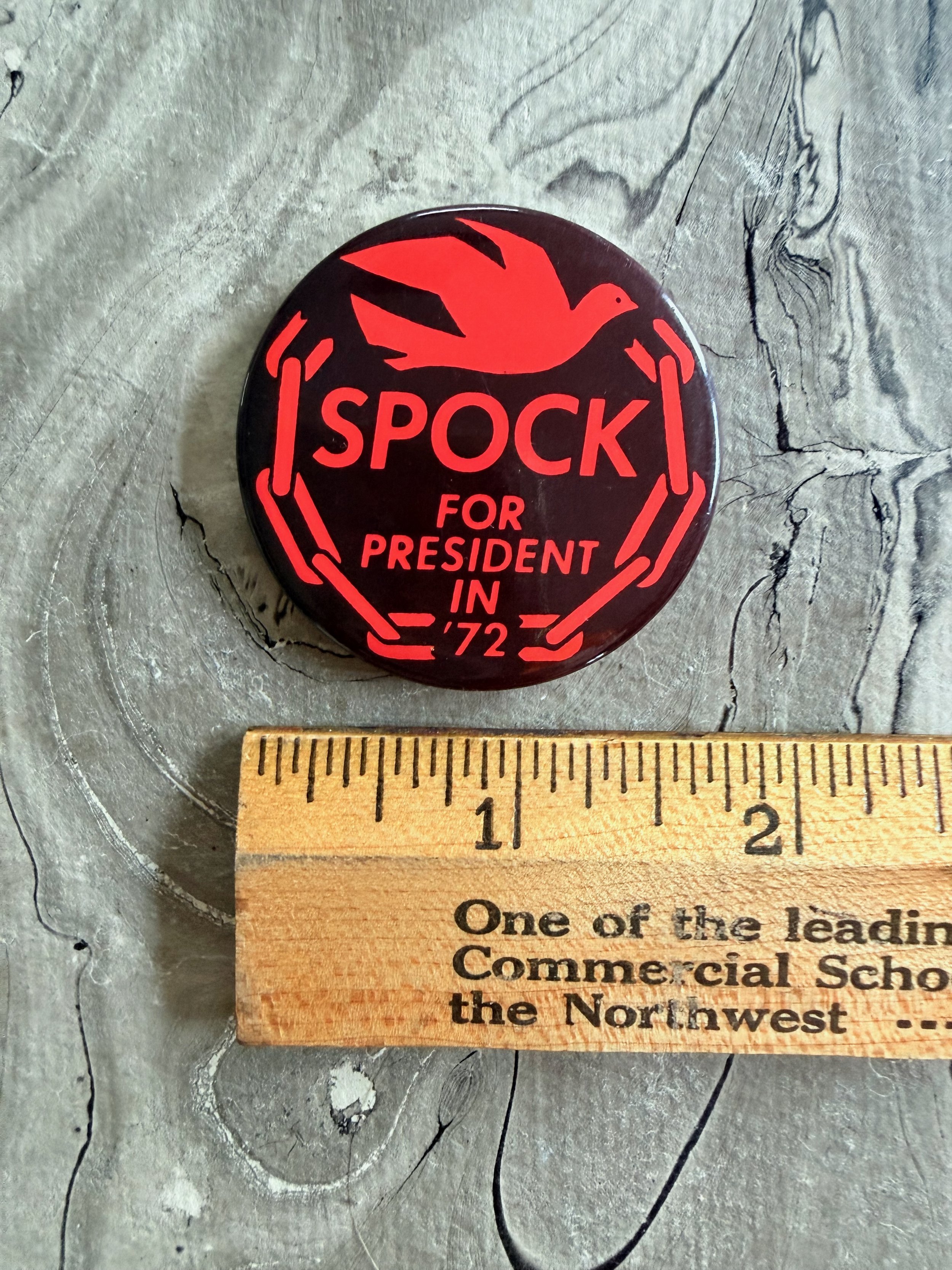 spock 2.jpeg