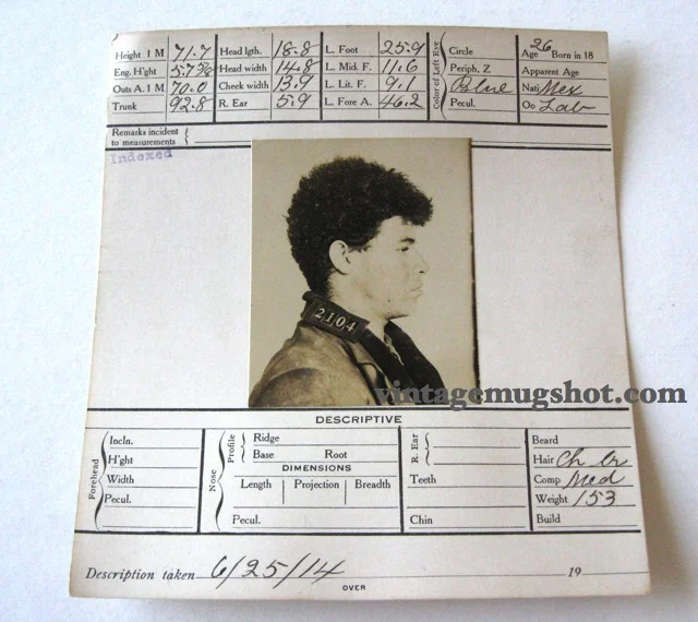 1914 - Curly-Haired Vagrant
