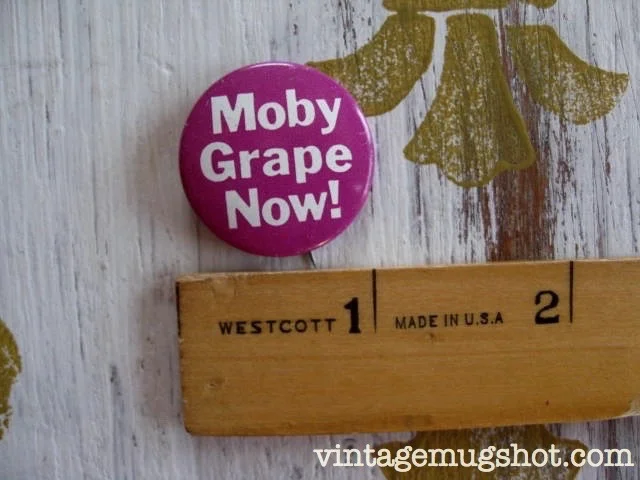 grape_1.jpg