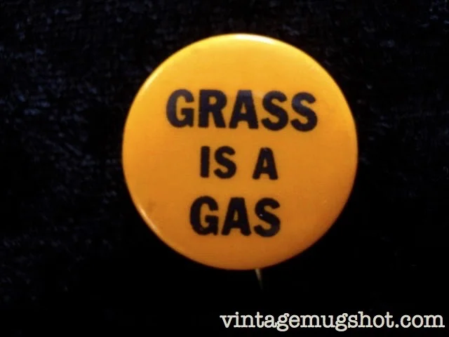 GRASS_2.jpg