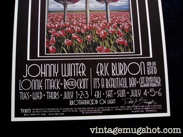 tulips_3.jpg